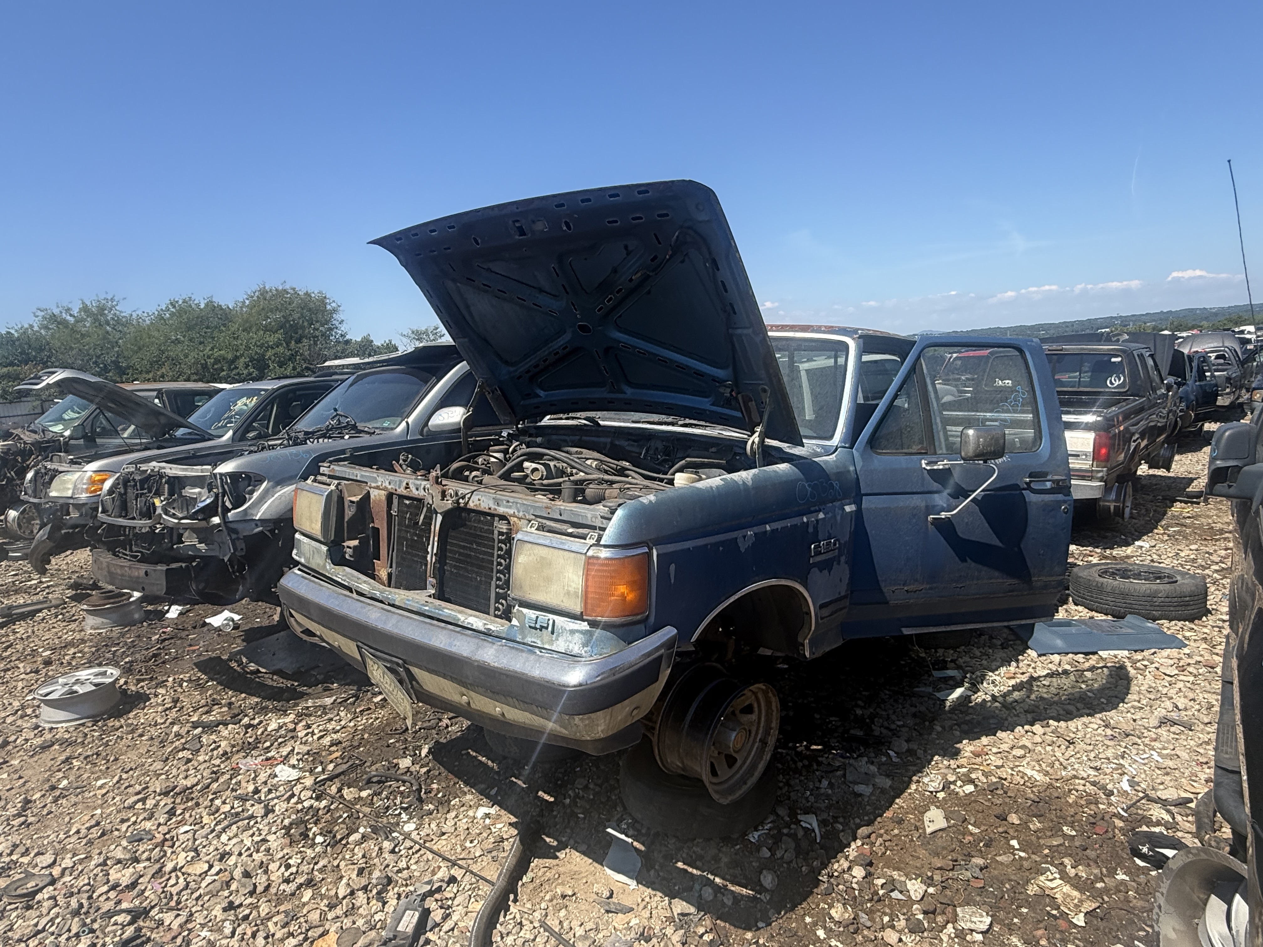 1988 FORD F-150