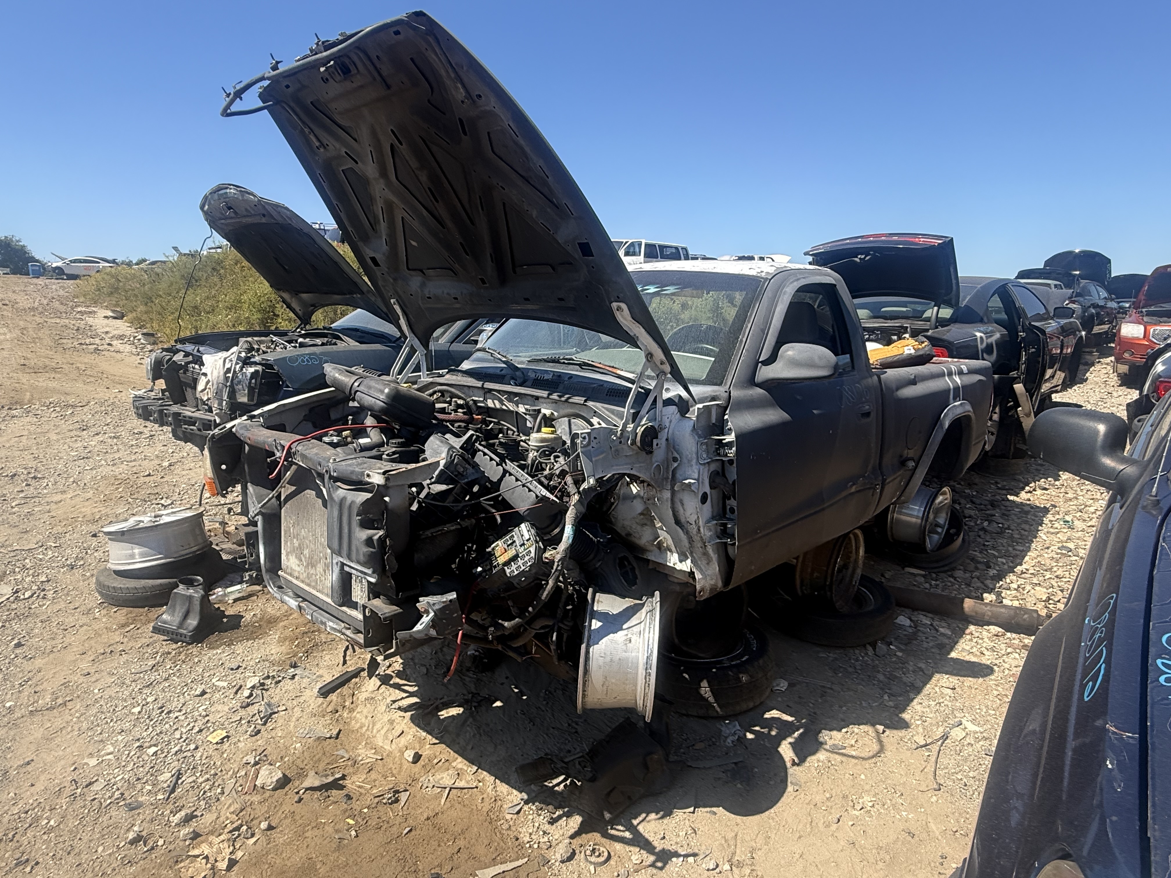 1998 DODGE Dakota
