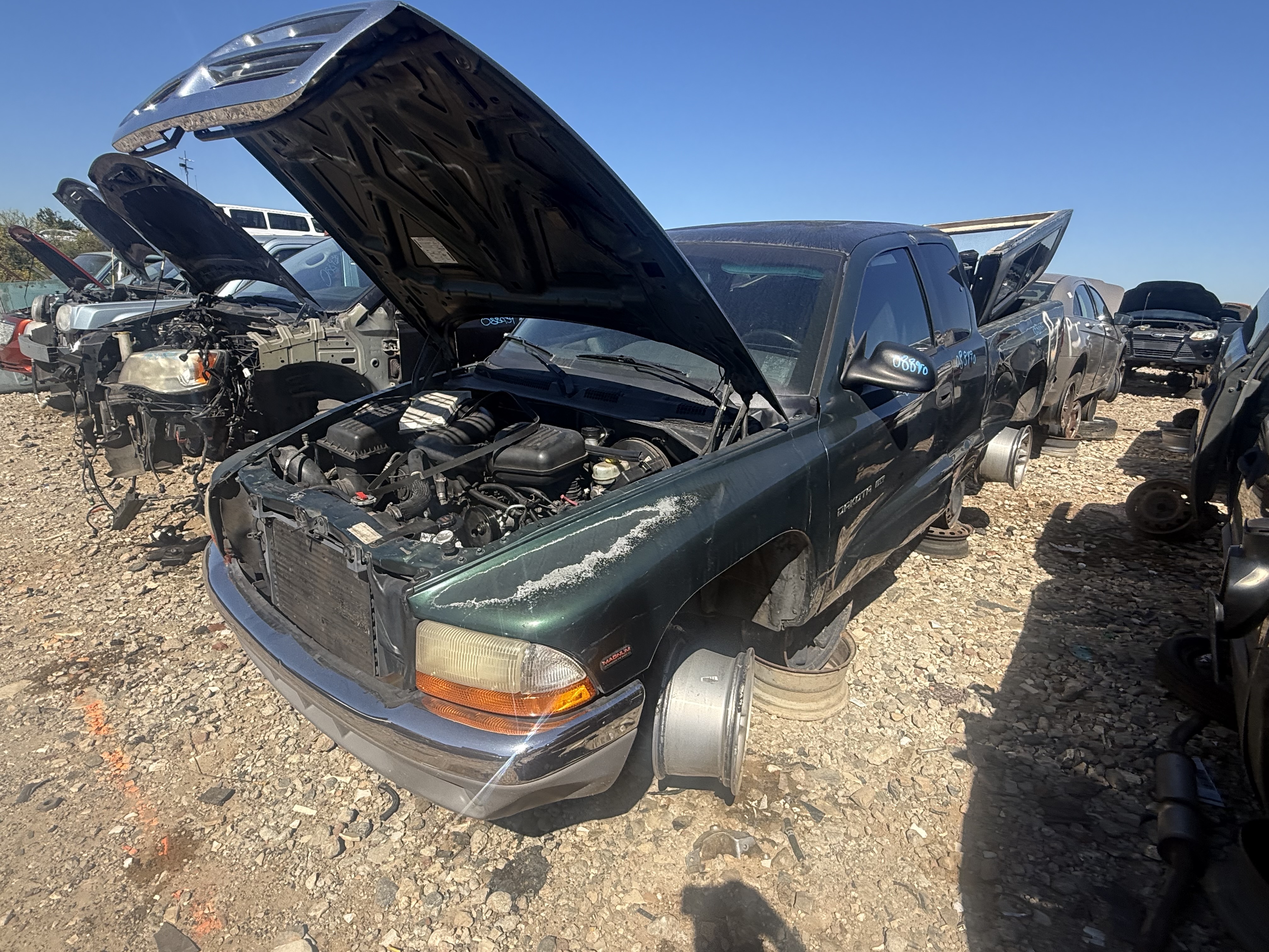 1998 DODGE Dakota