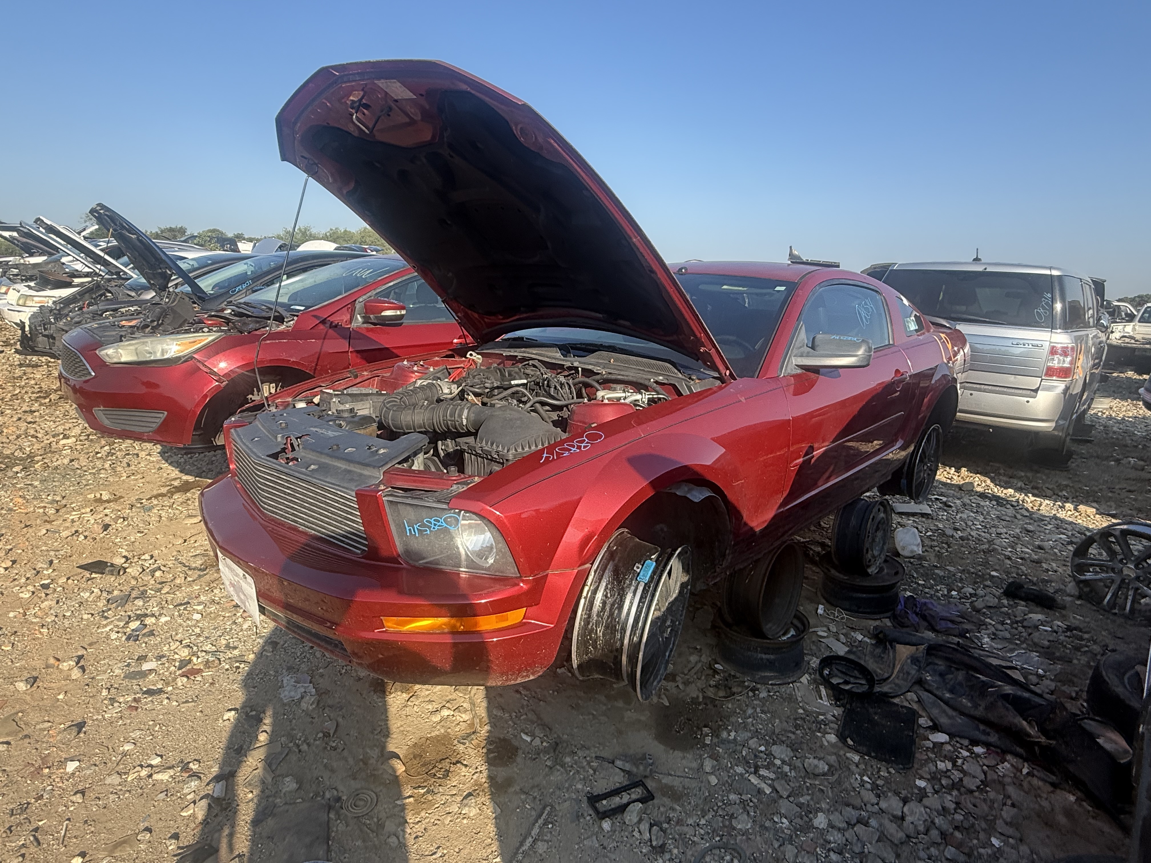 2007 FORD Mustang