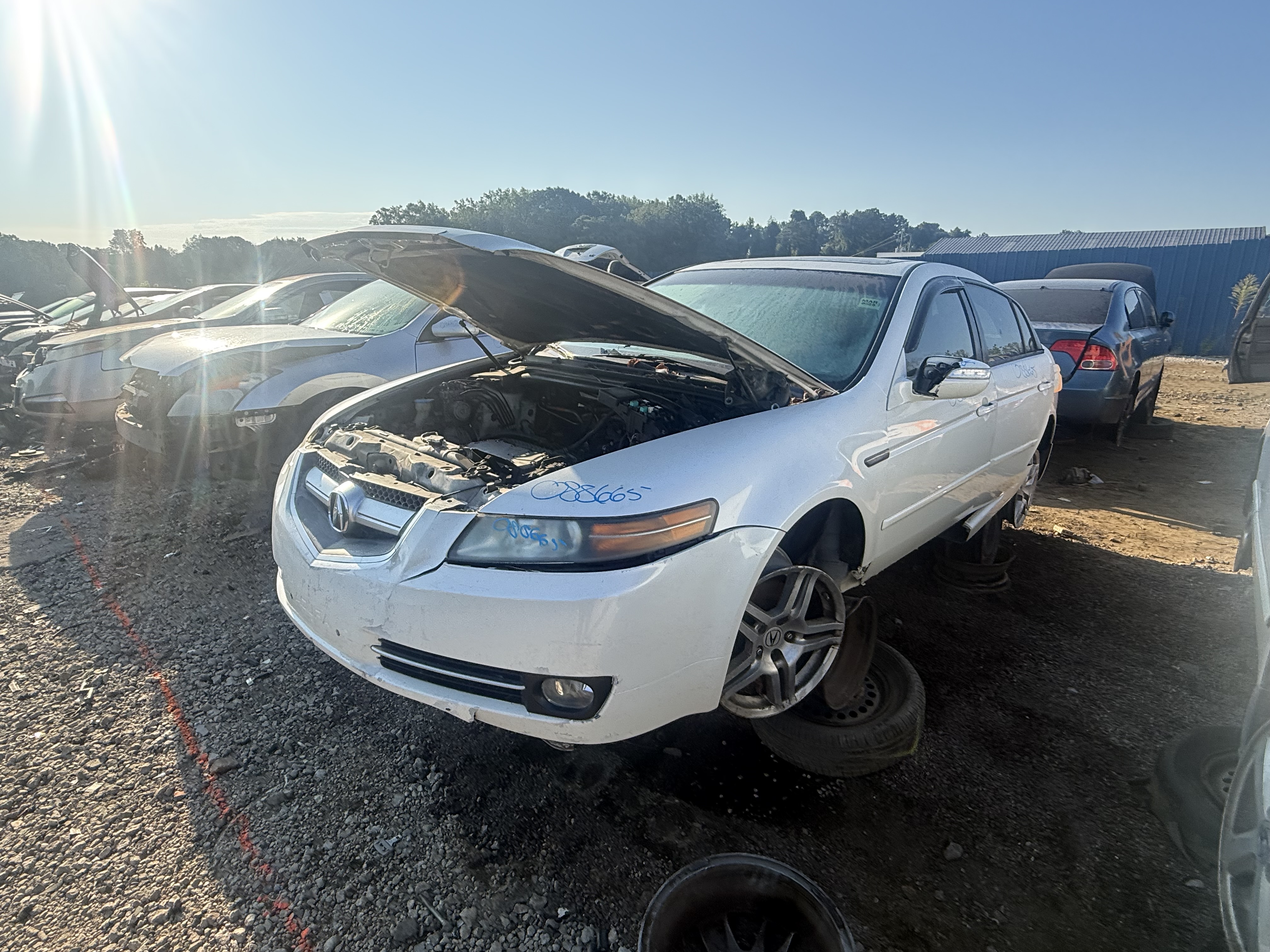 2007 ACURA Tl