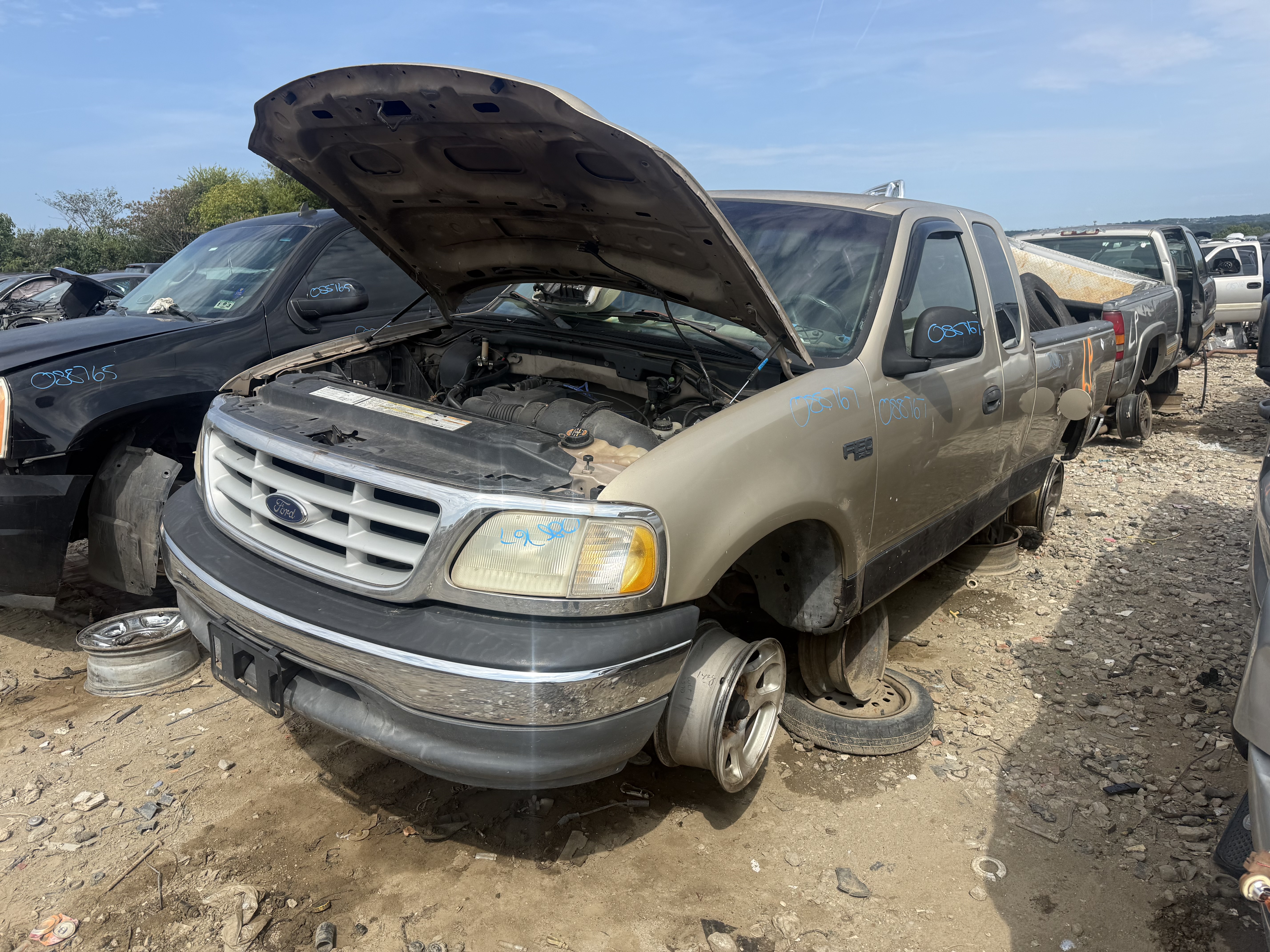 1999 FORD F-150