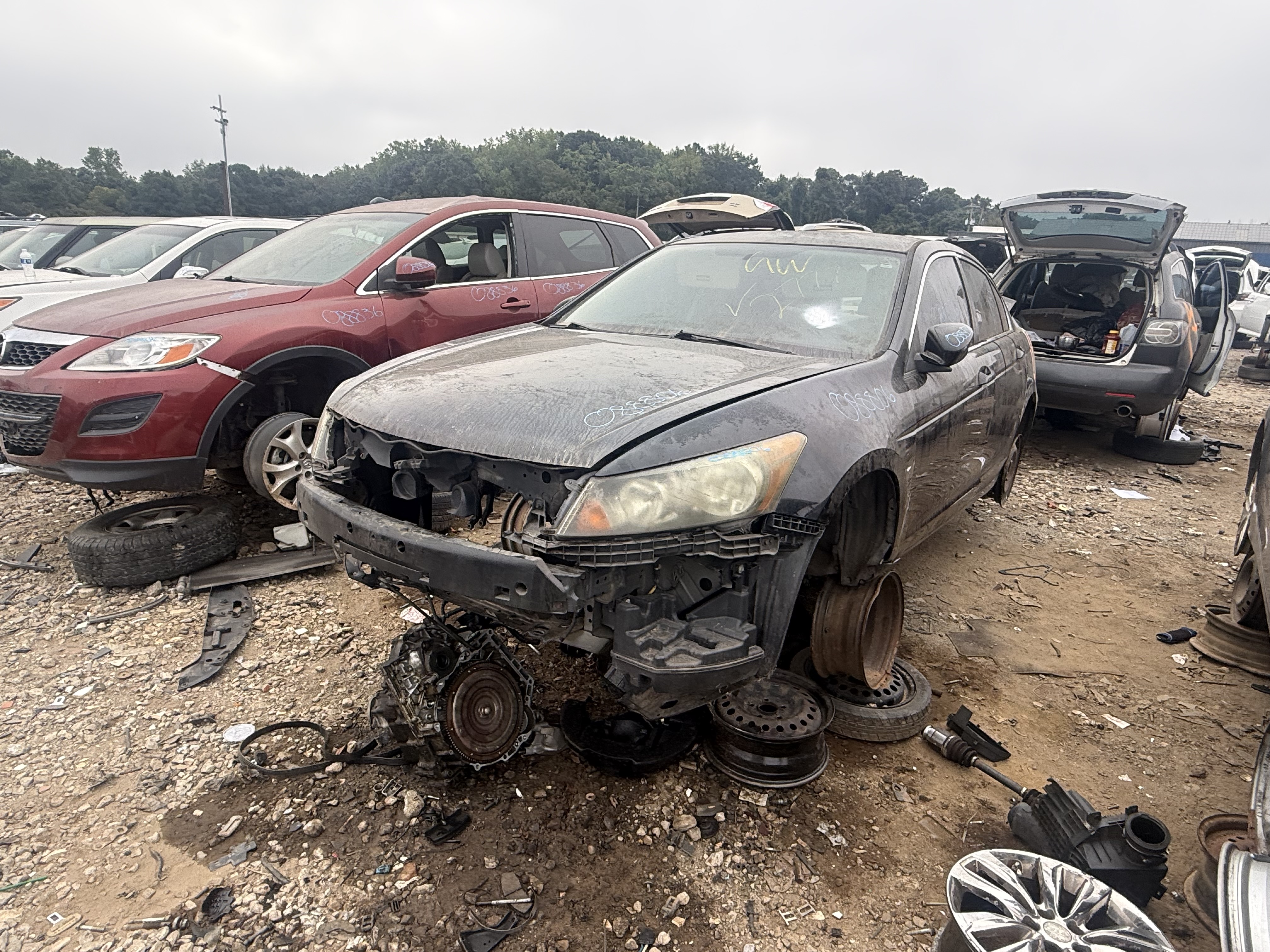 2011 HONDA Accord