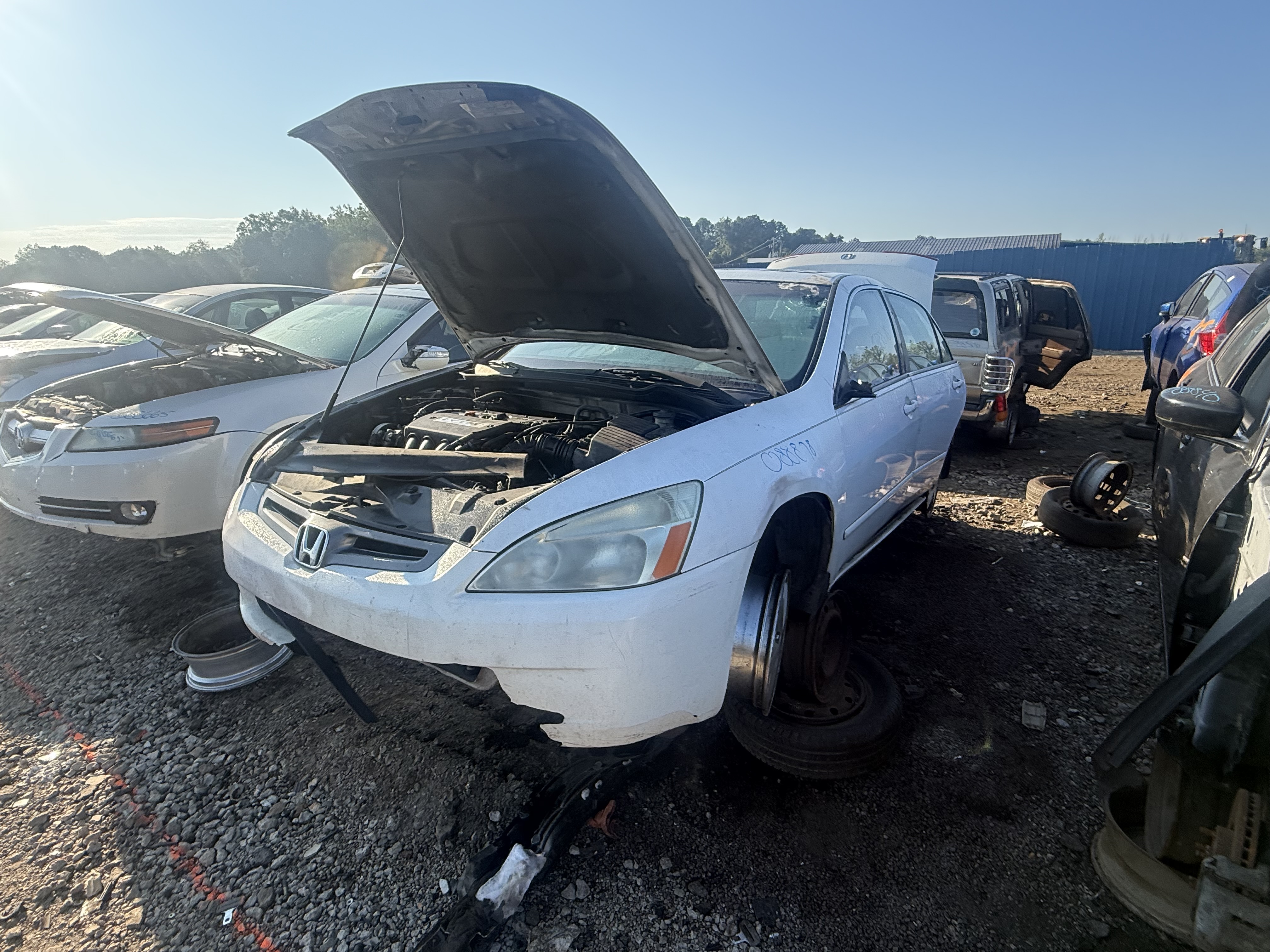 2005 HONDA Accord