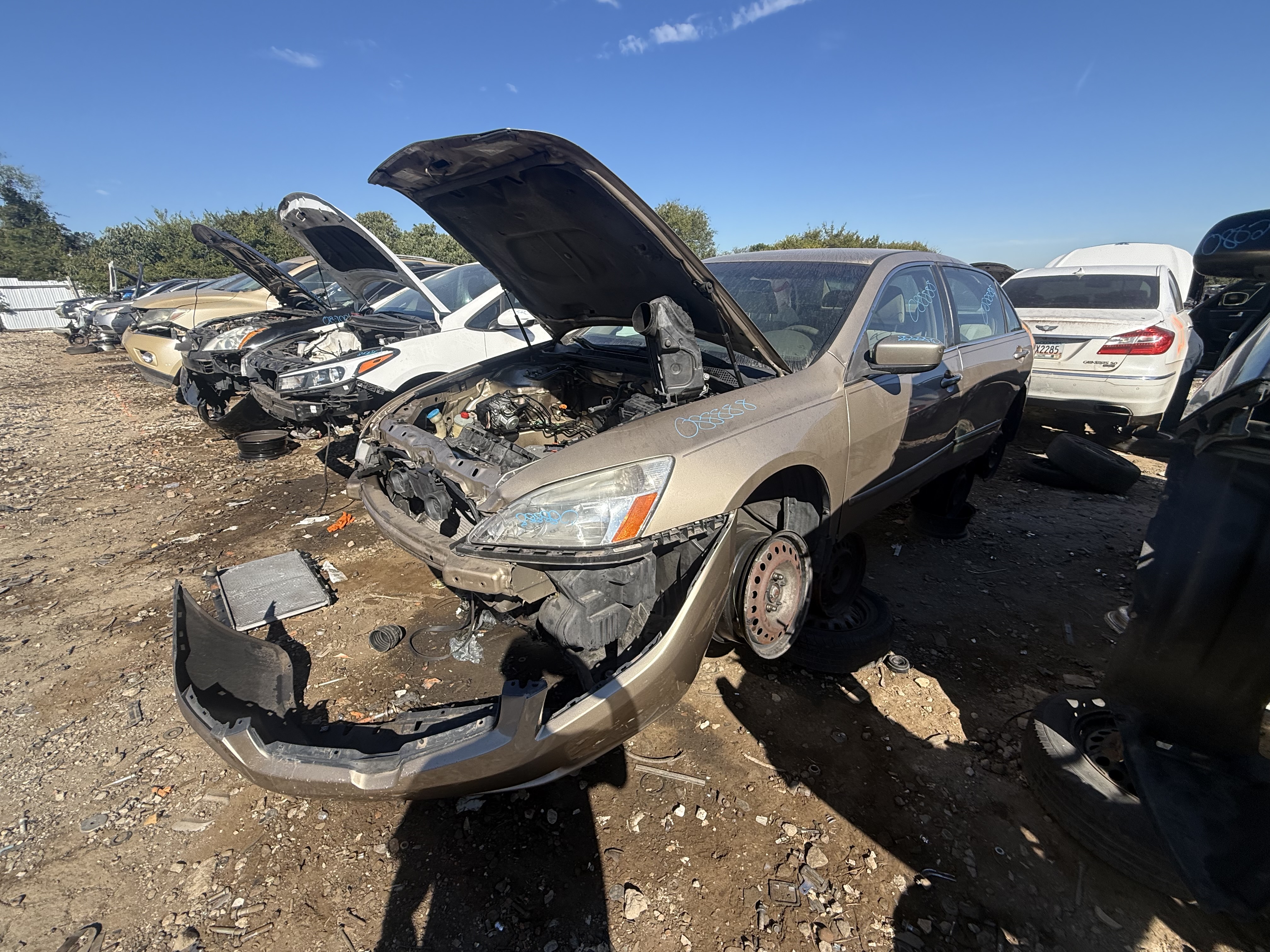 2004 HONDA Accord