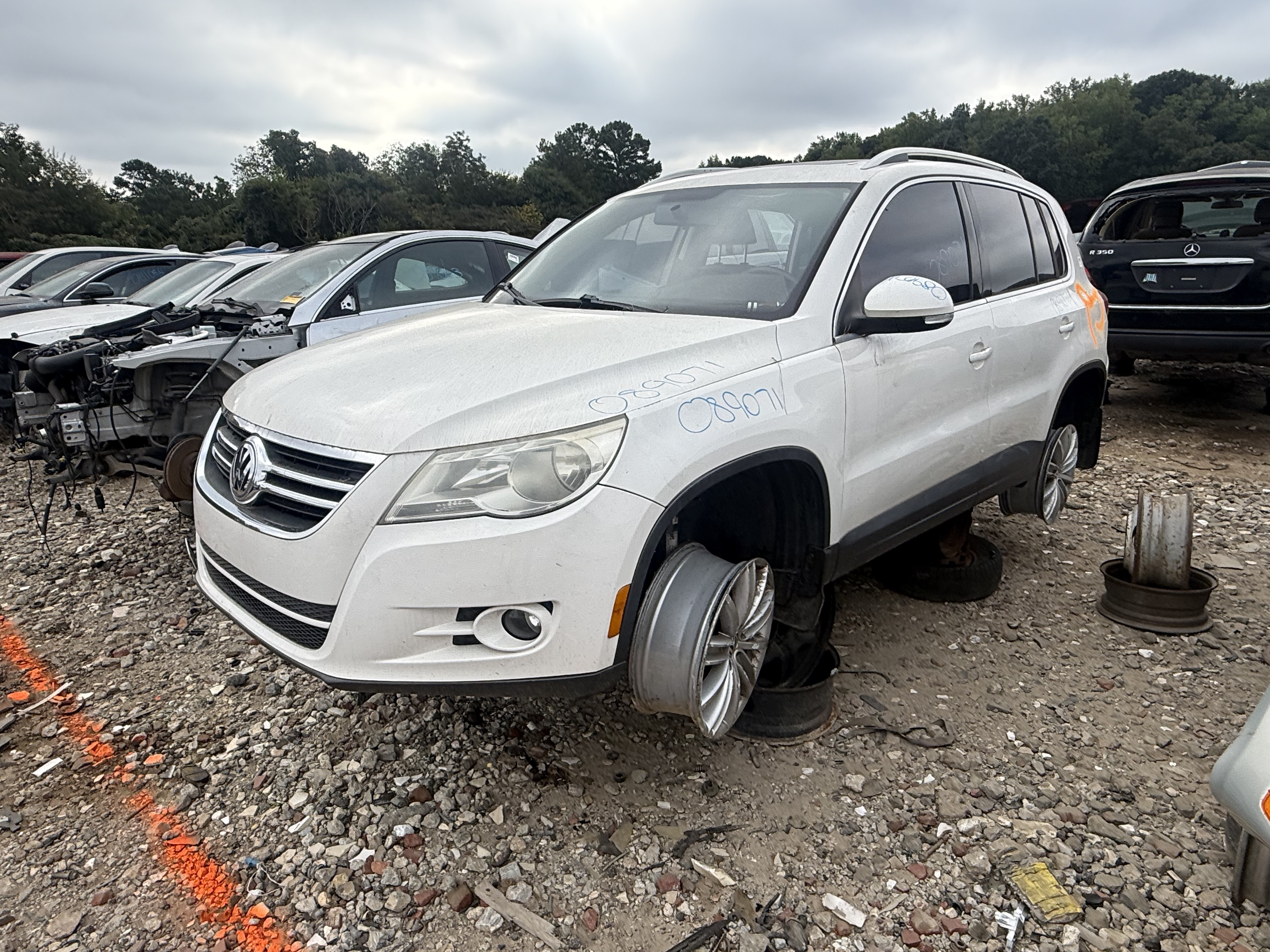 2011 VOLKSWAGEN Tiguan