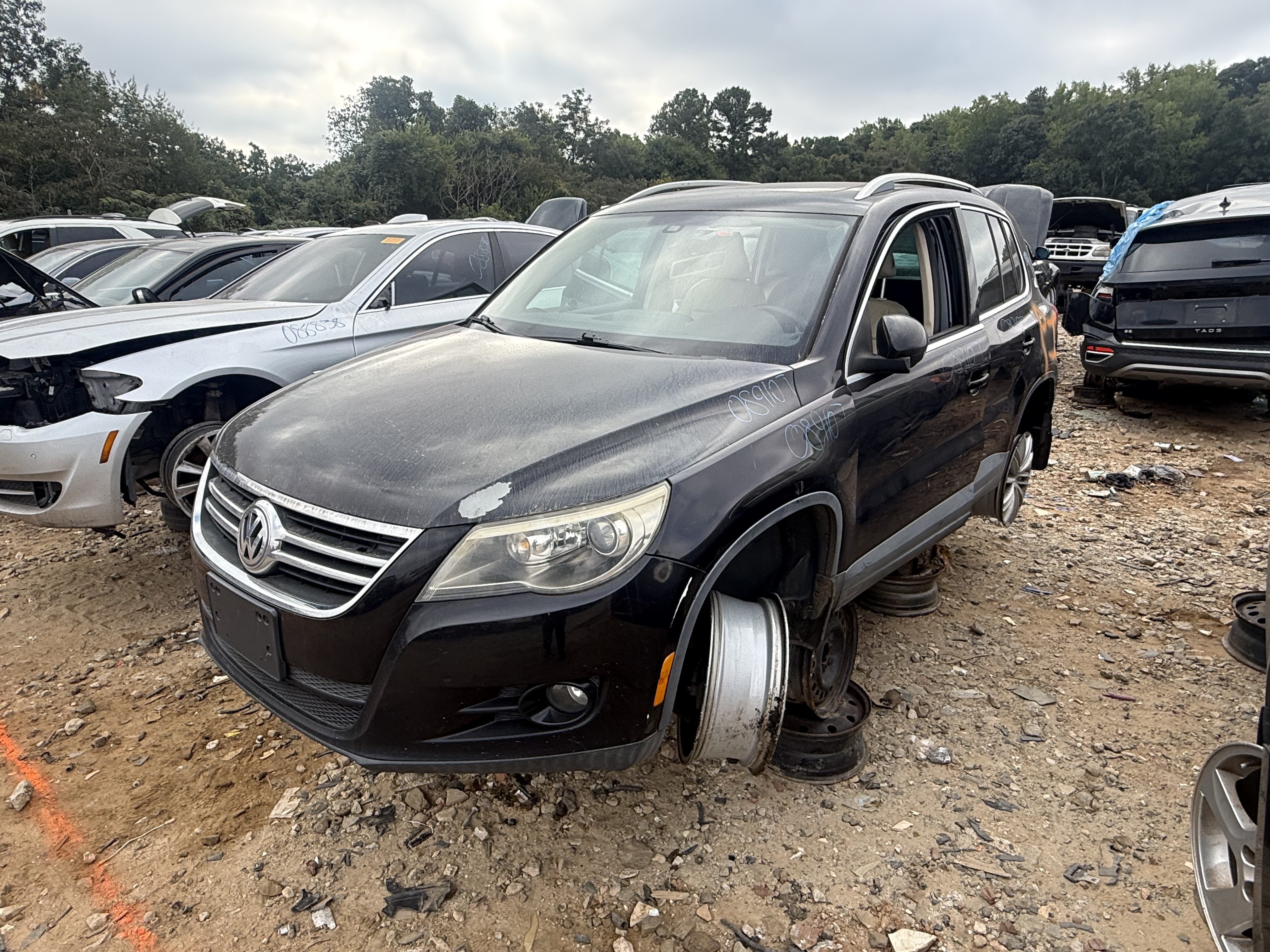 2011 VOLKSWAGEN Tiguan