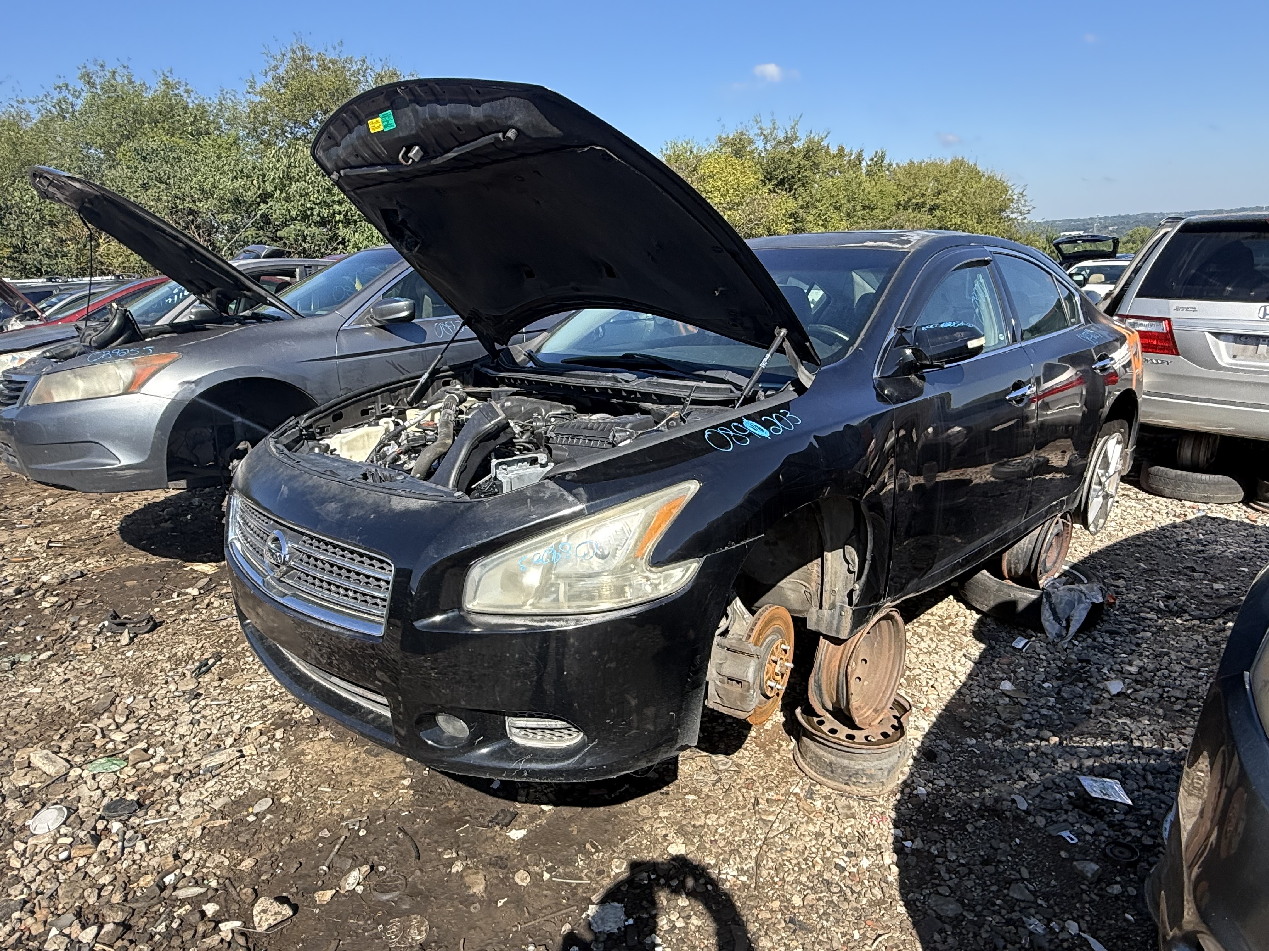 2010 NISSAN Maxima
