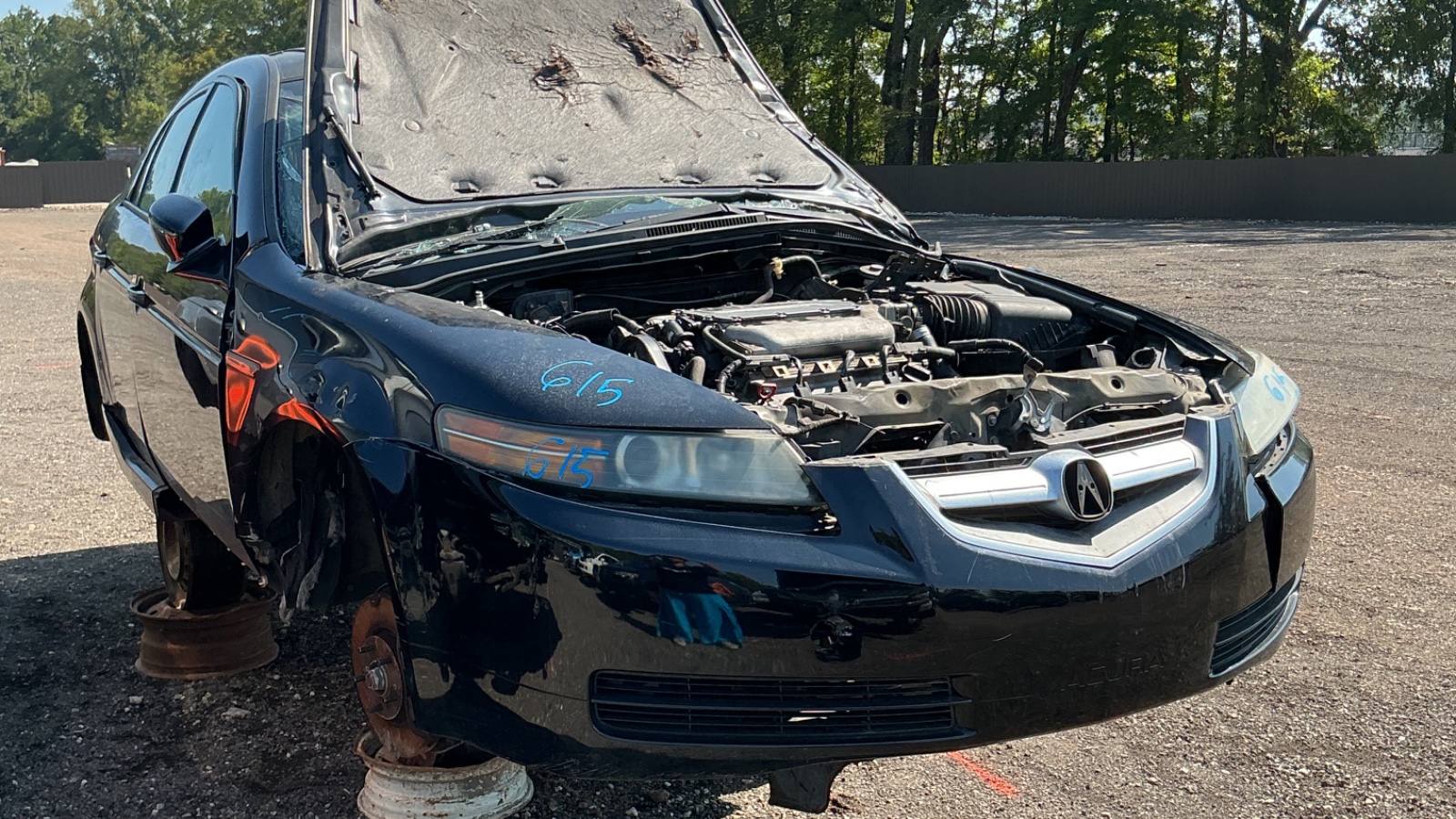 2004 ACURA Tl