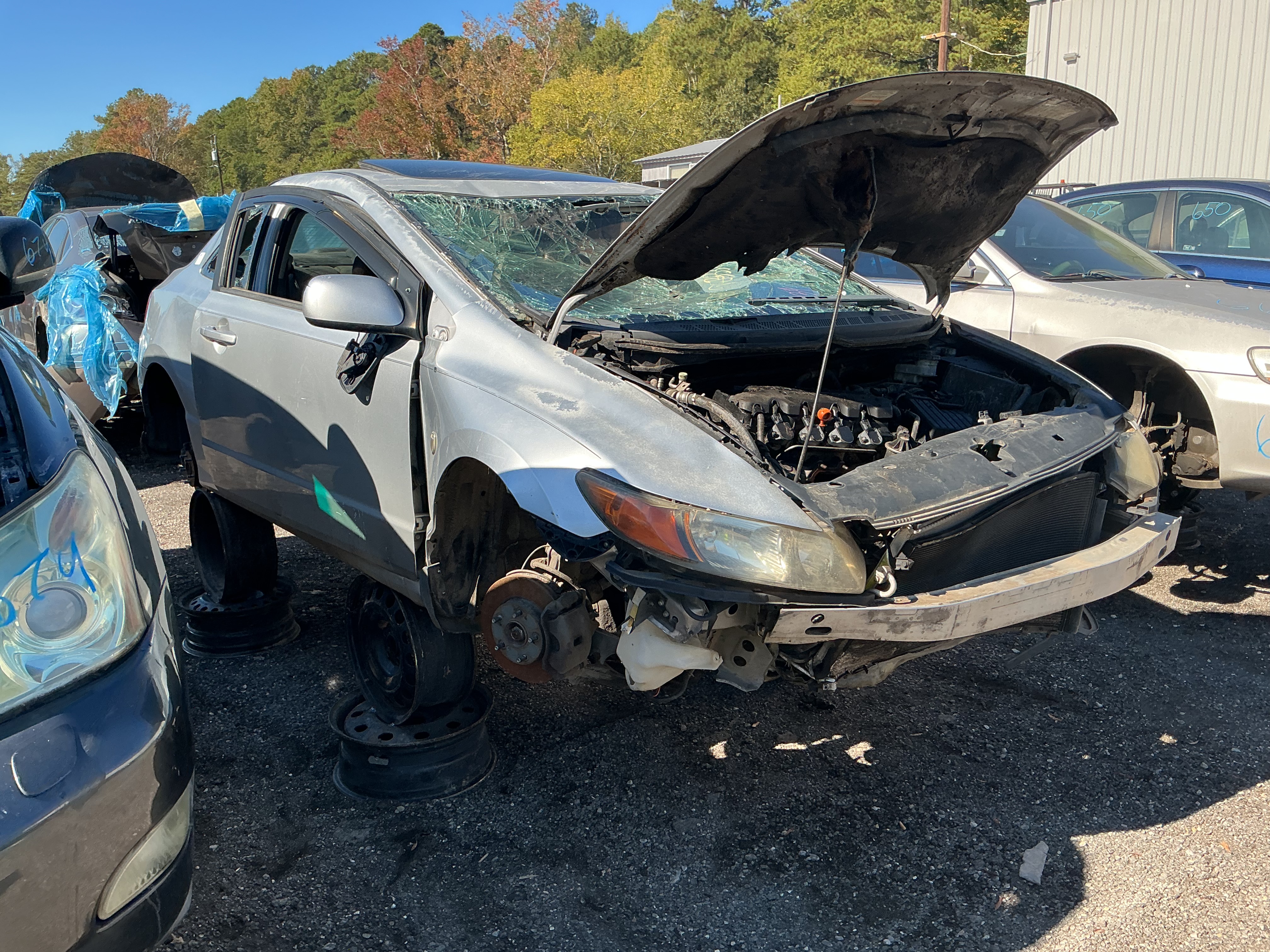 2006 HONDA Civic