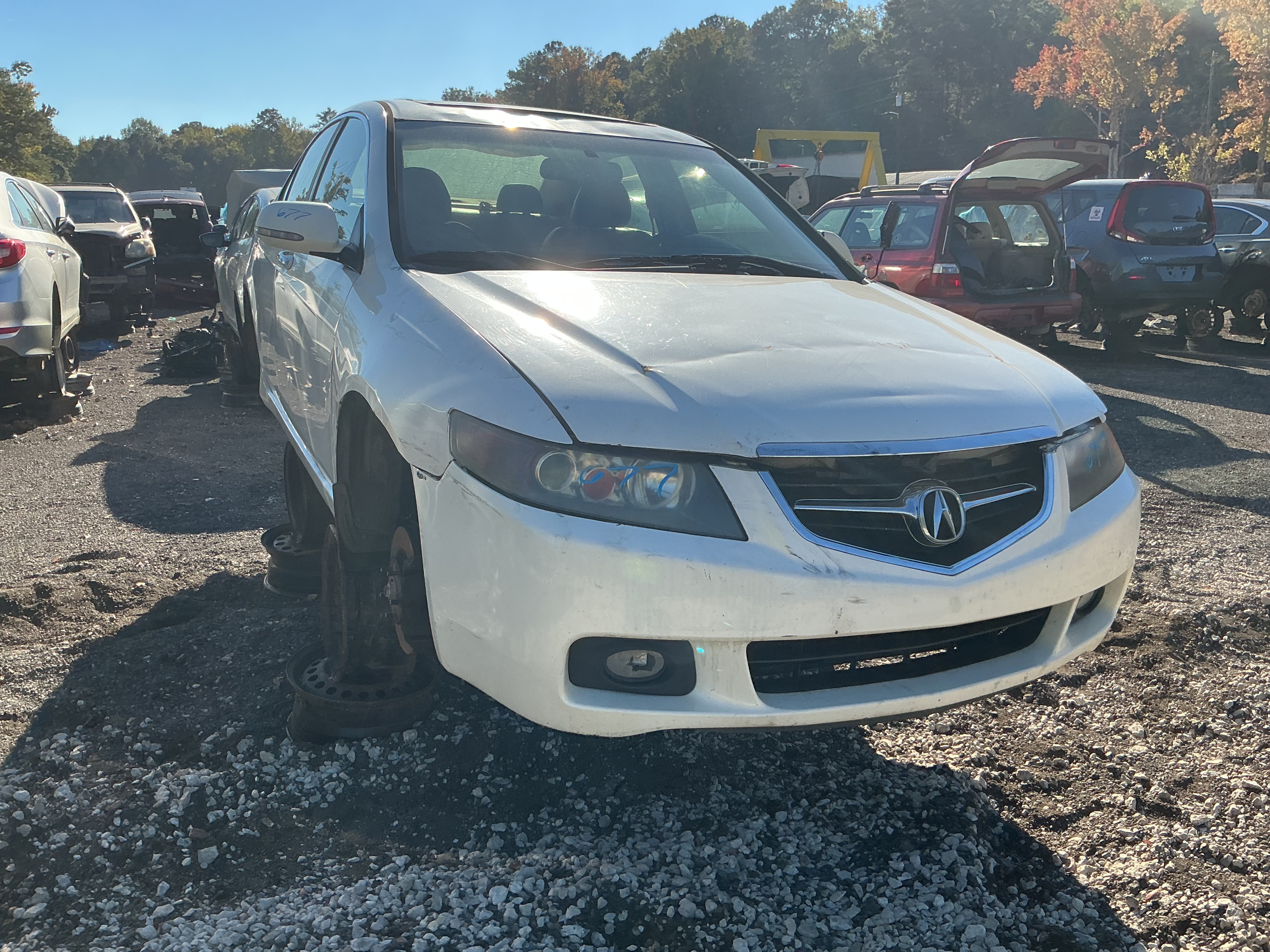2004 ACURA Tsx