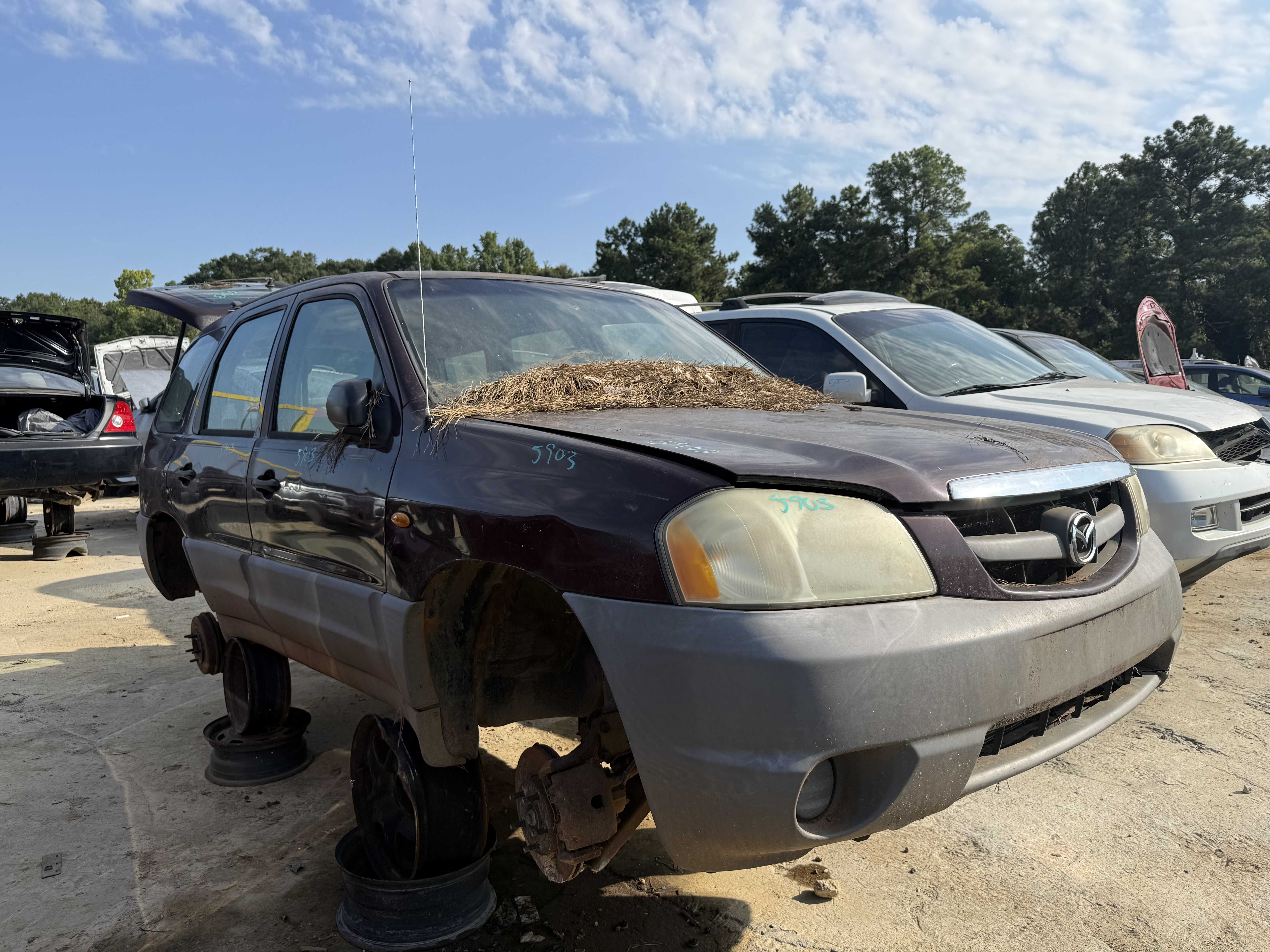 2001 MAZDA Tribute