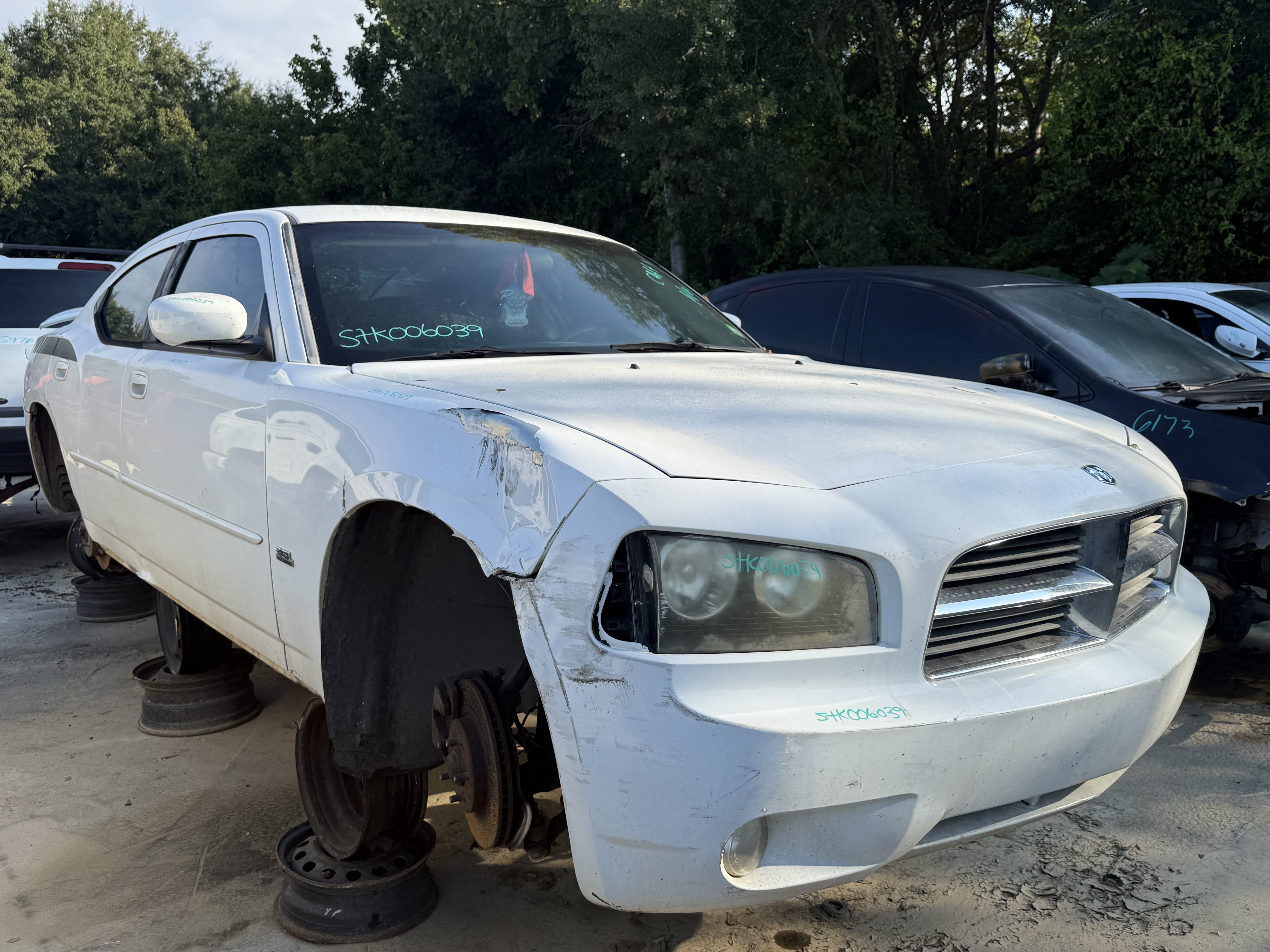 2010 DODGE Charger