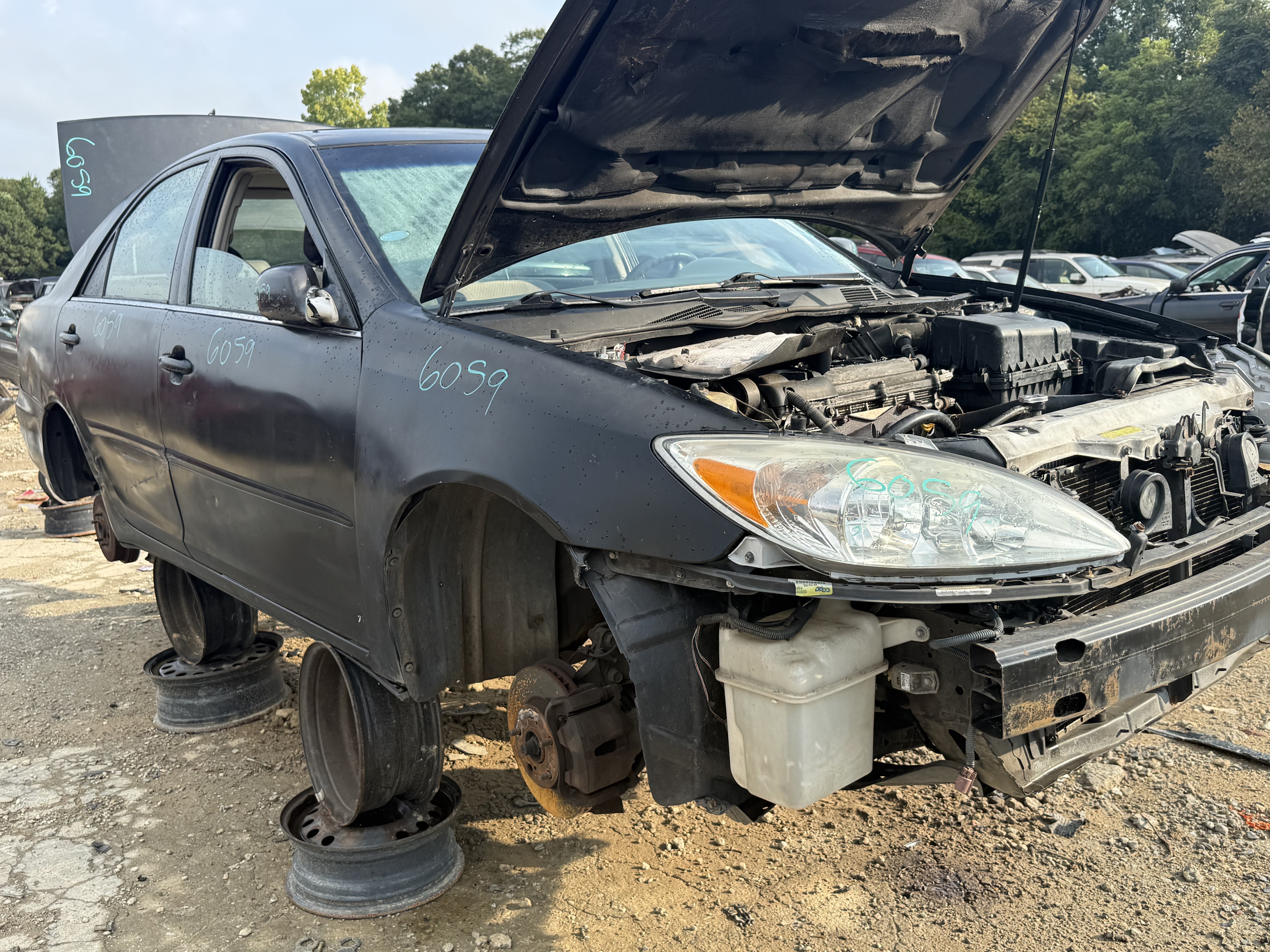 2004 TOYOTA Camry