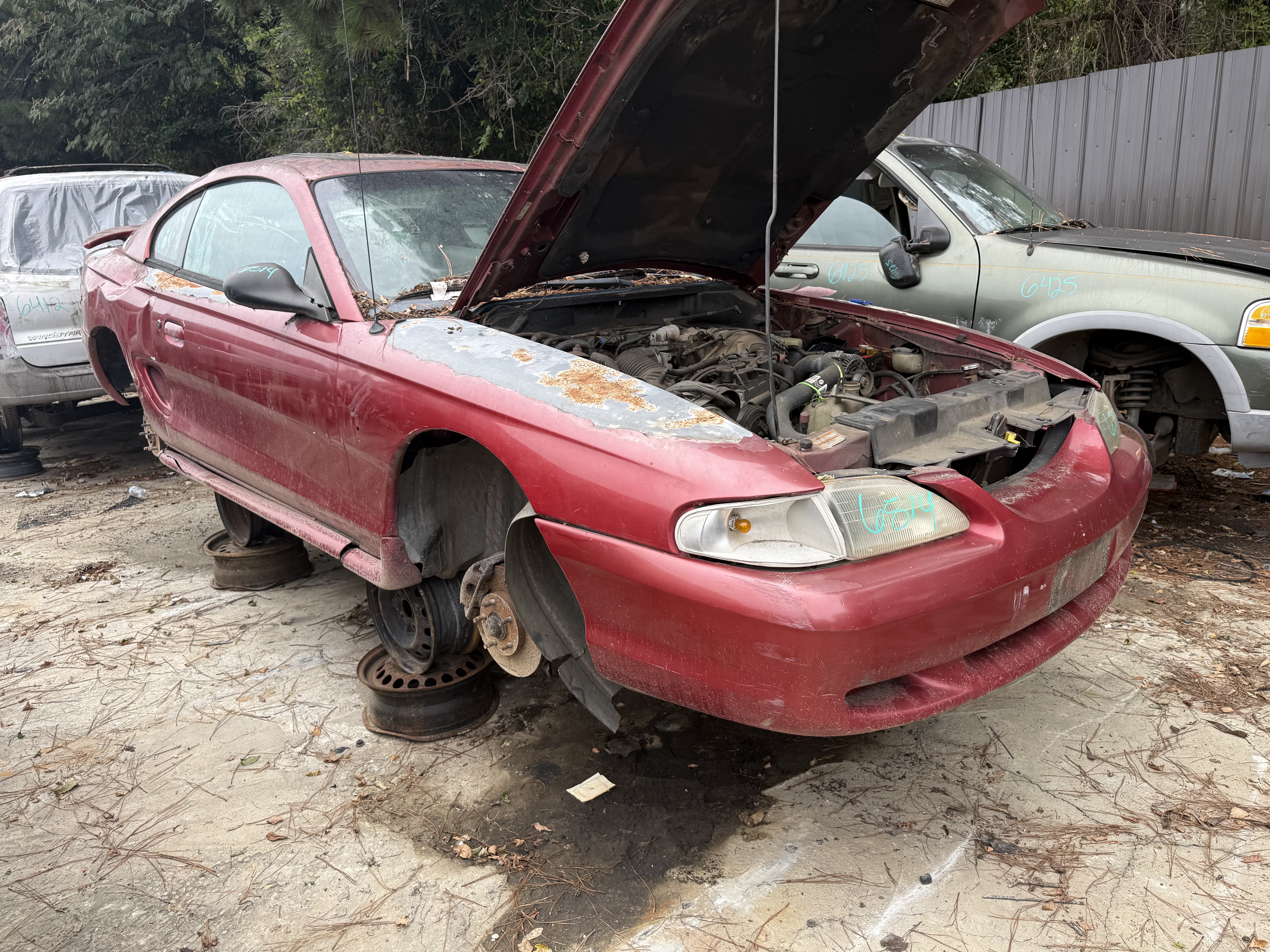 1998 FORD Mustang