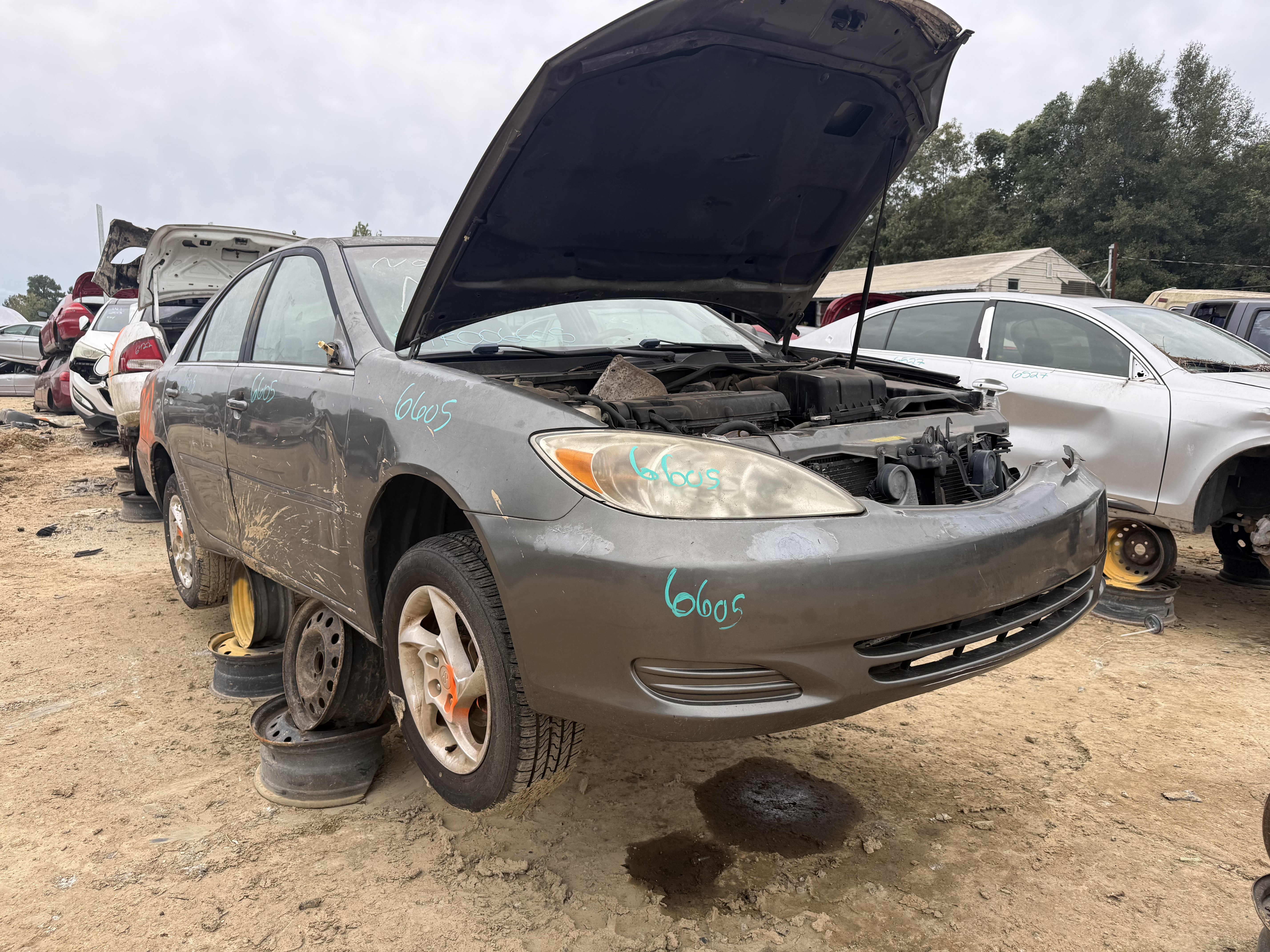 2004 TOYOTA Camry