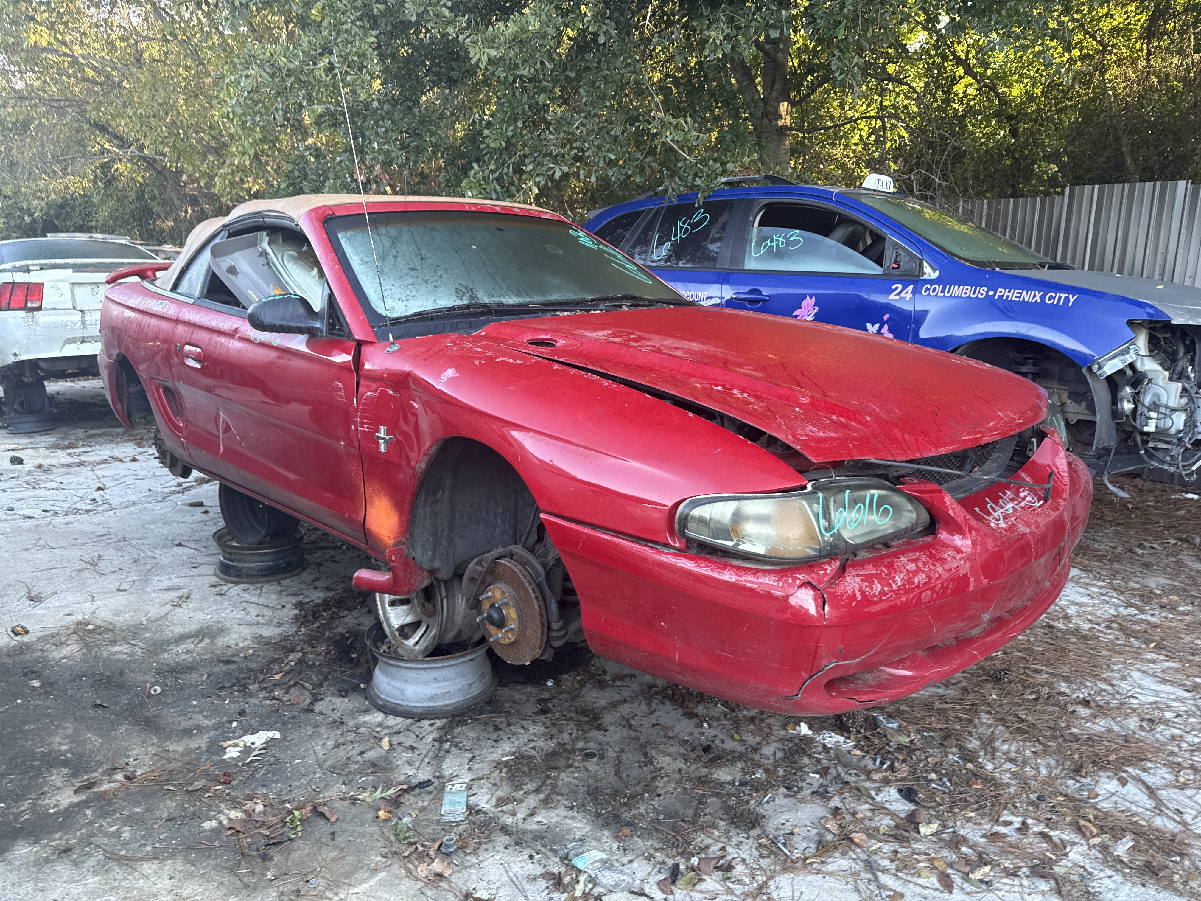 1996 FORD Mustang