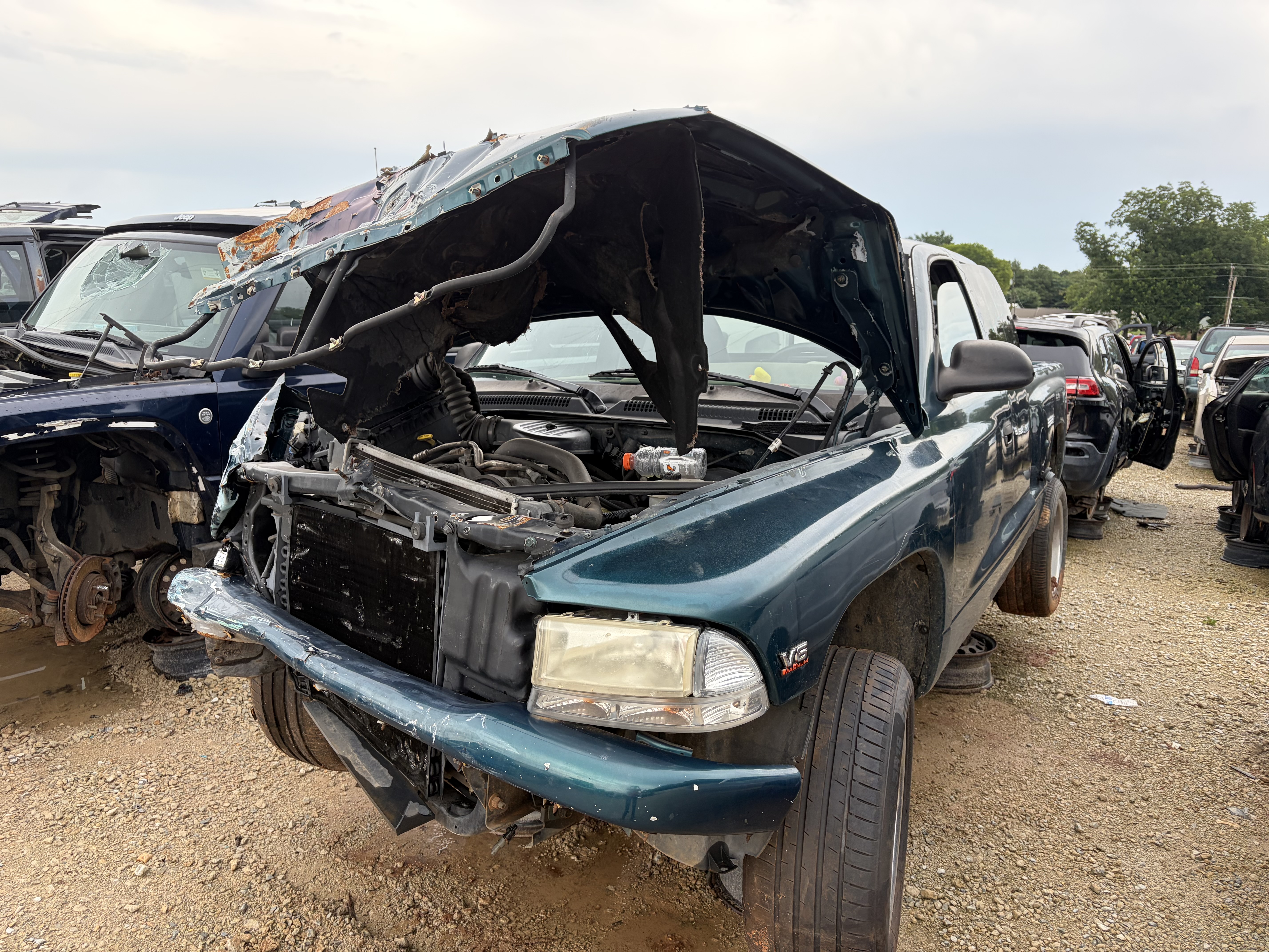 1999 DODGE Dakota