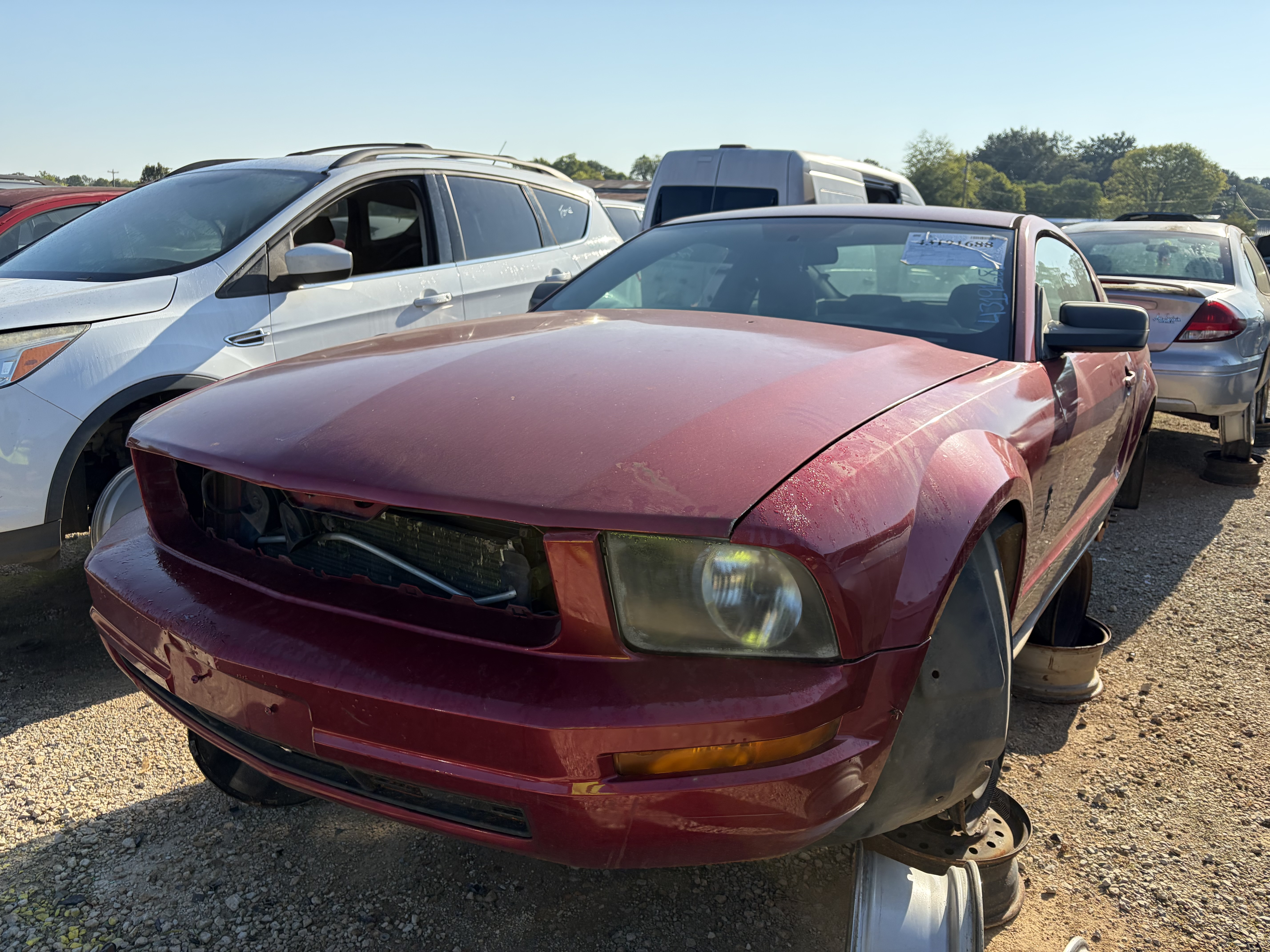 2006 FORD Mustang