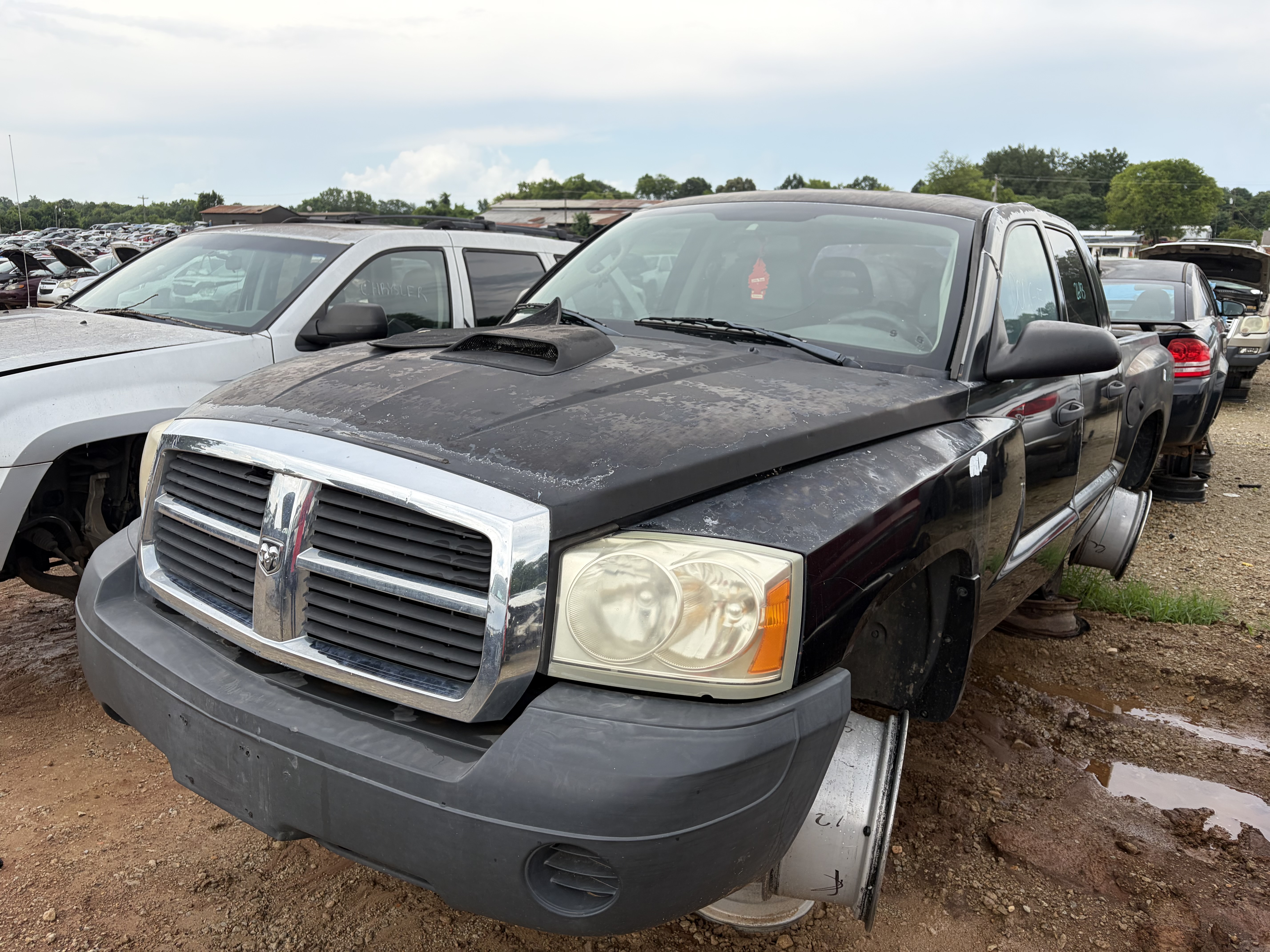 2005 DODGE Dakota
