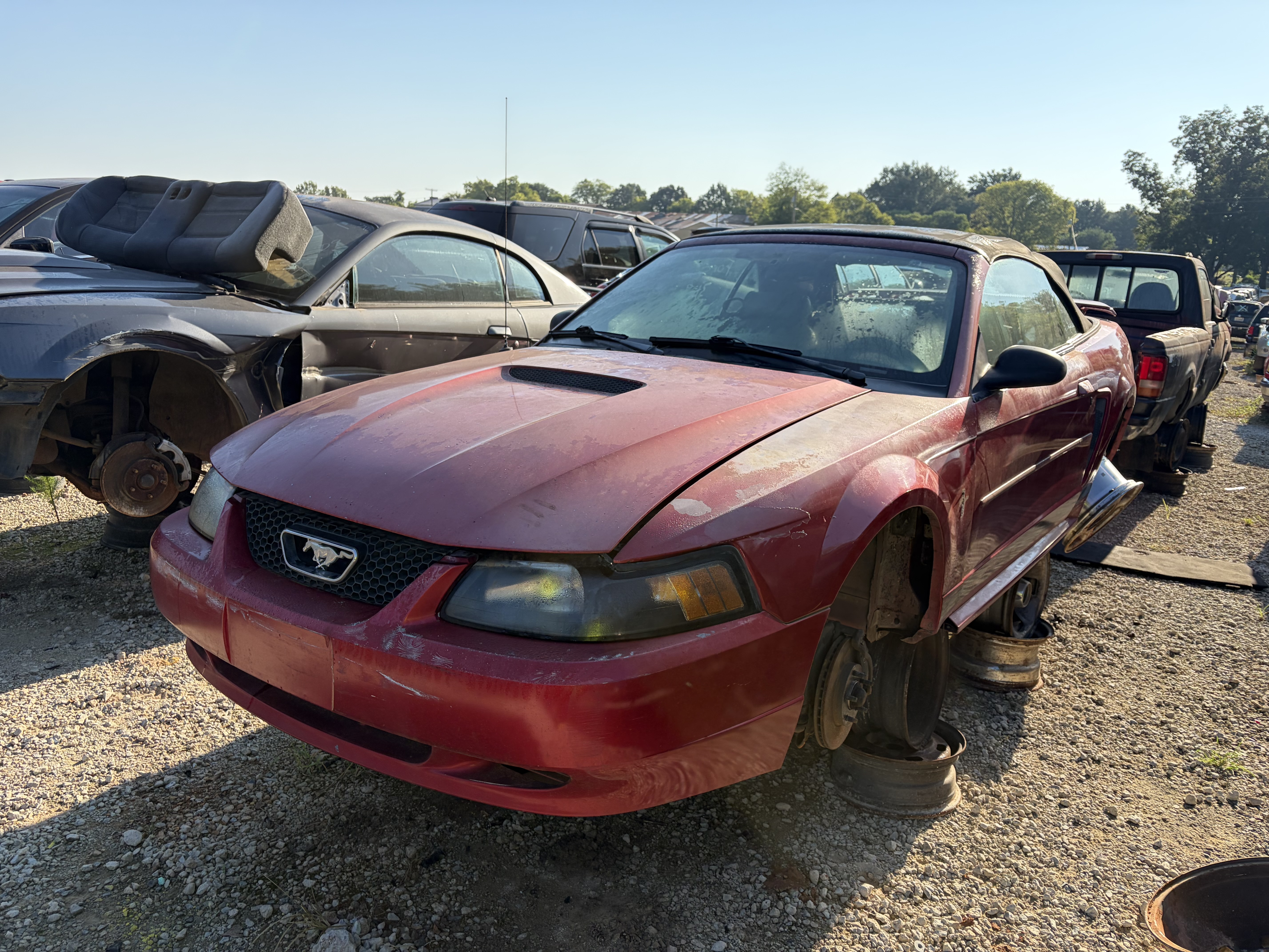 1985 FORD Mustang