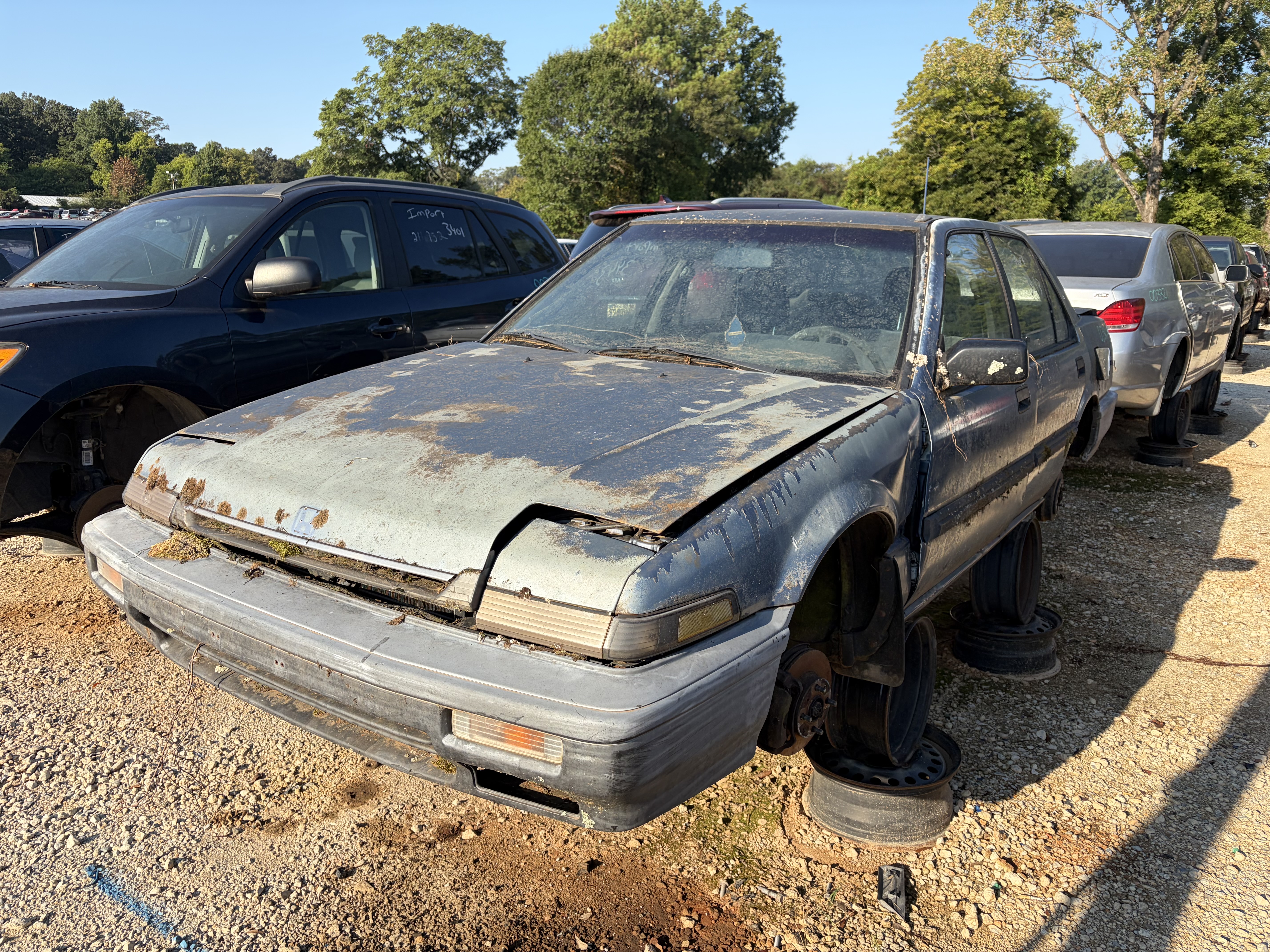 1989 HONDA Accord