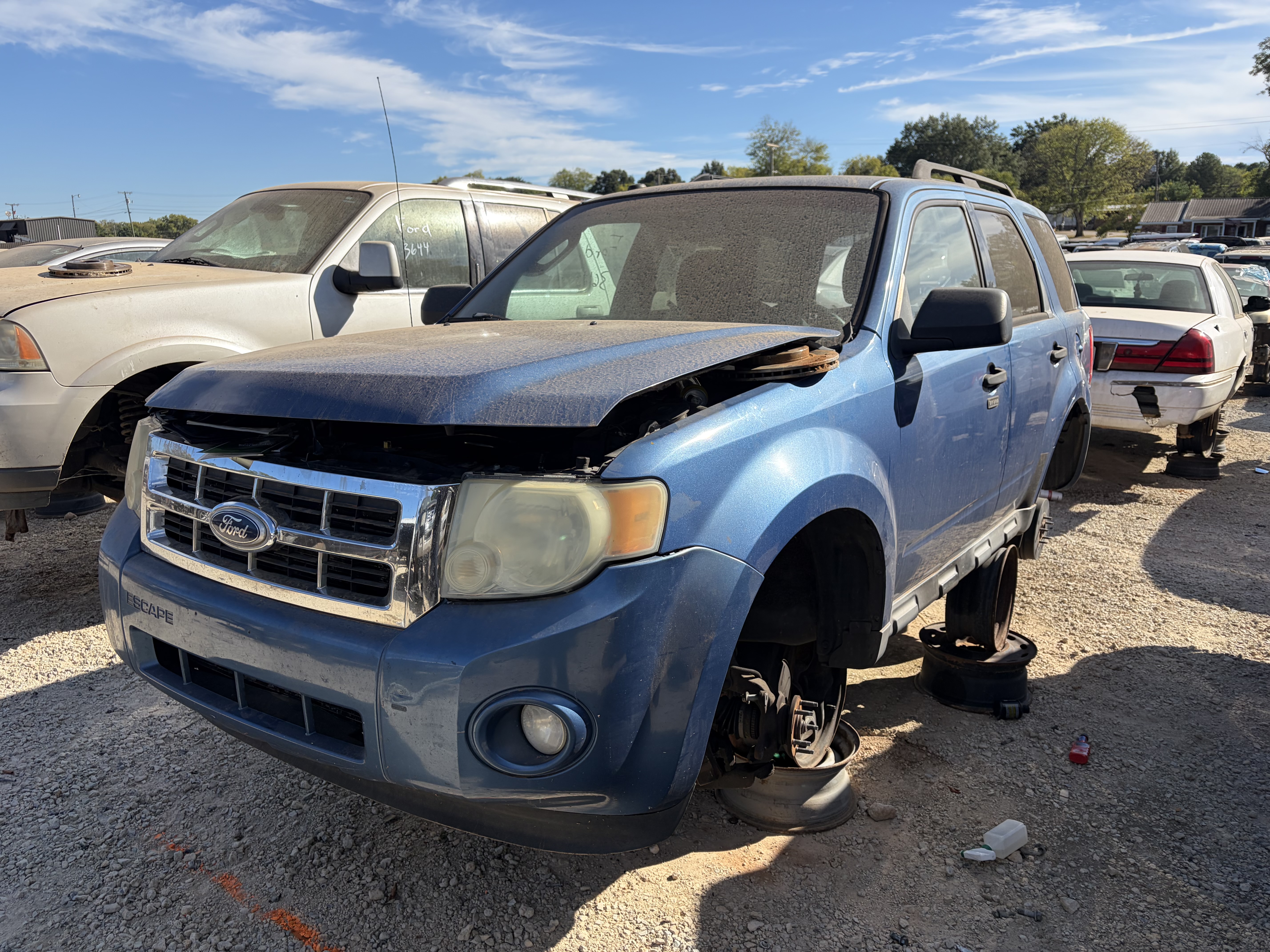 2010 FORD Escape
