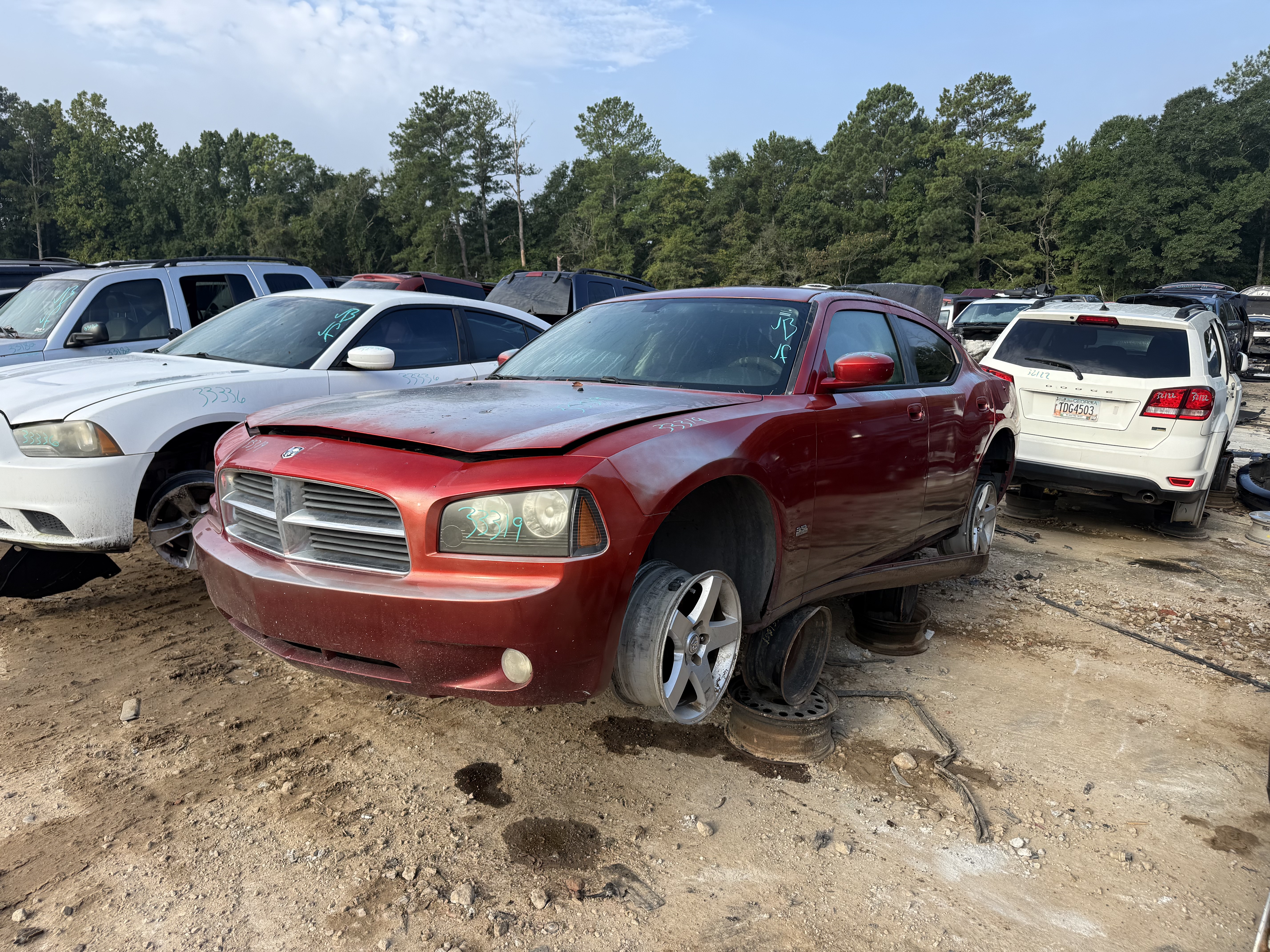 2009 DODGE Charger