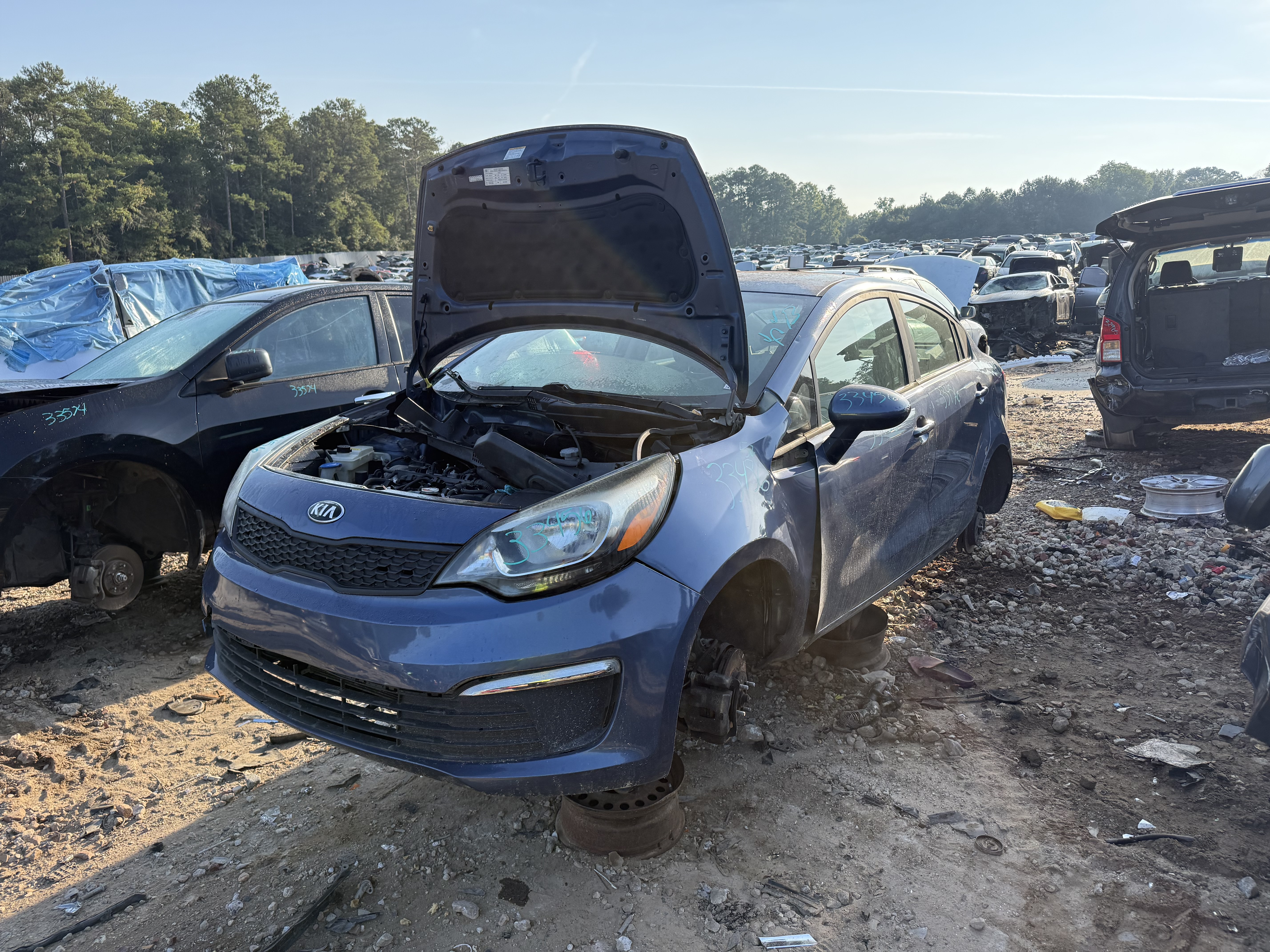 2016 KIA Rio