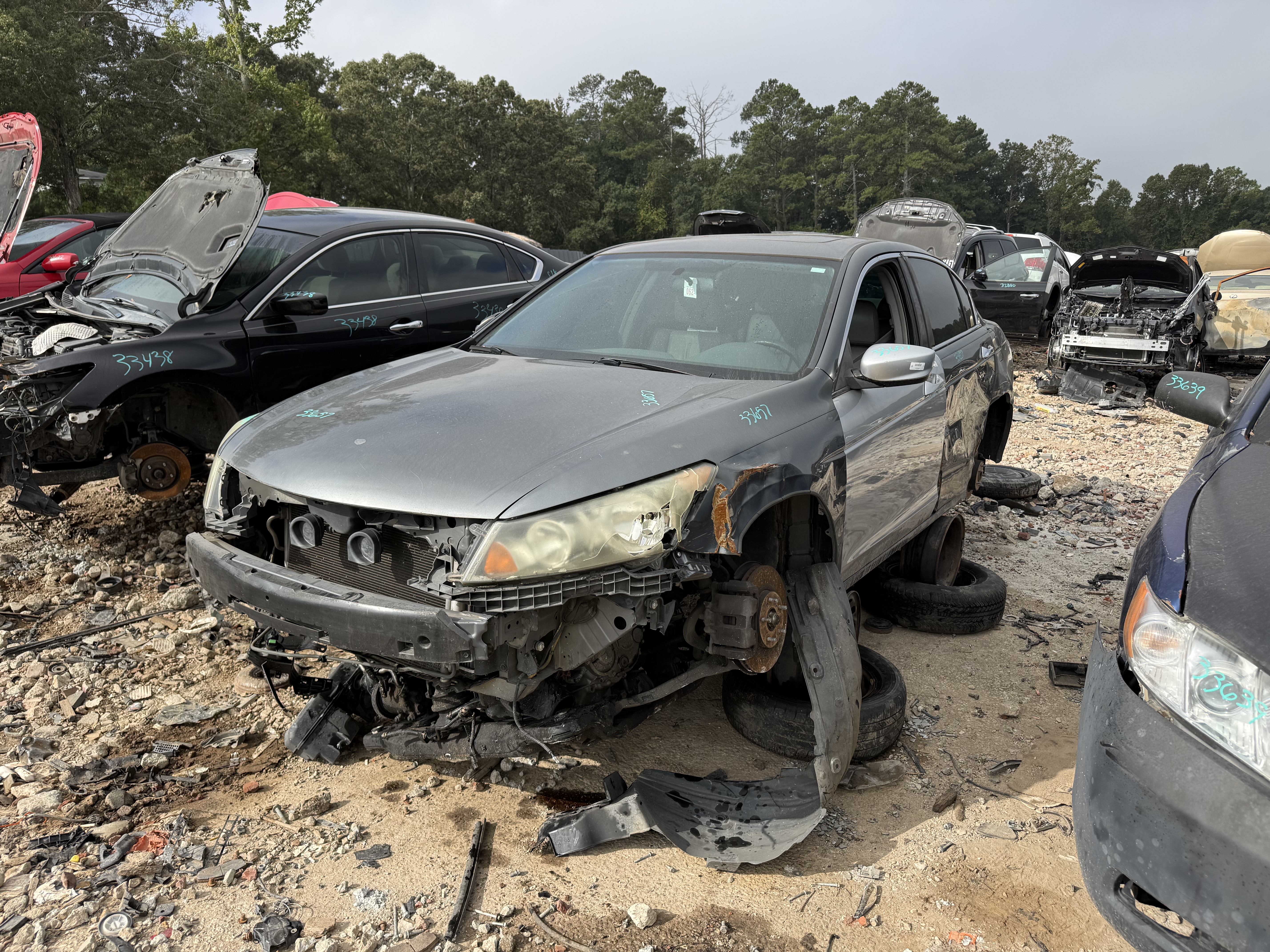 2009 HONDA Accord
