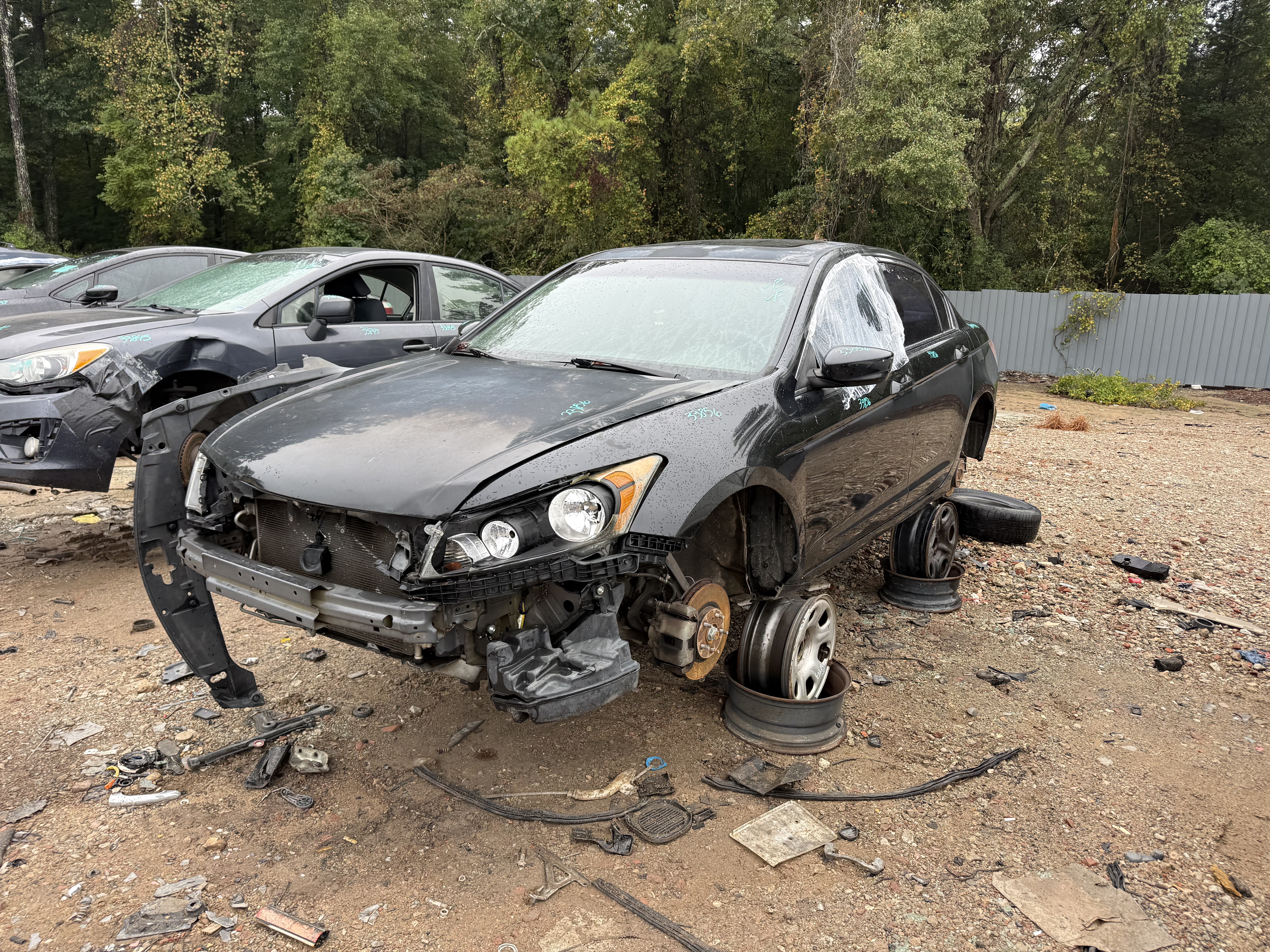 2009 HONDA Accord