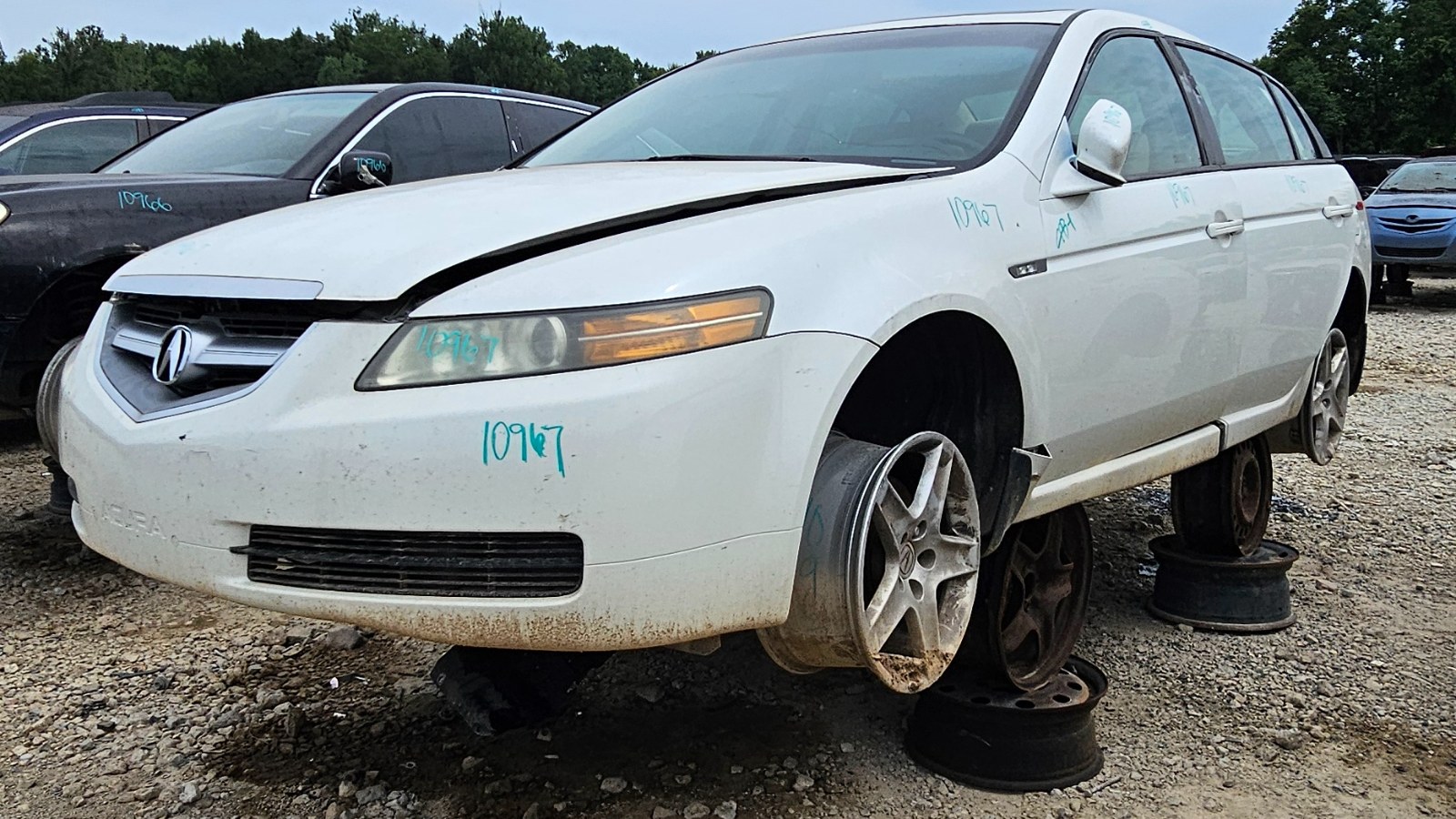 2006 ACURA Tl