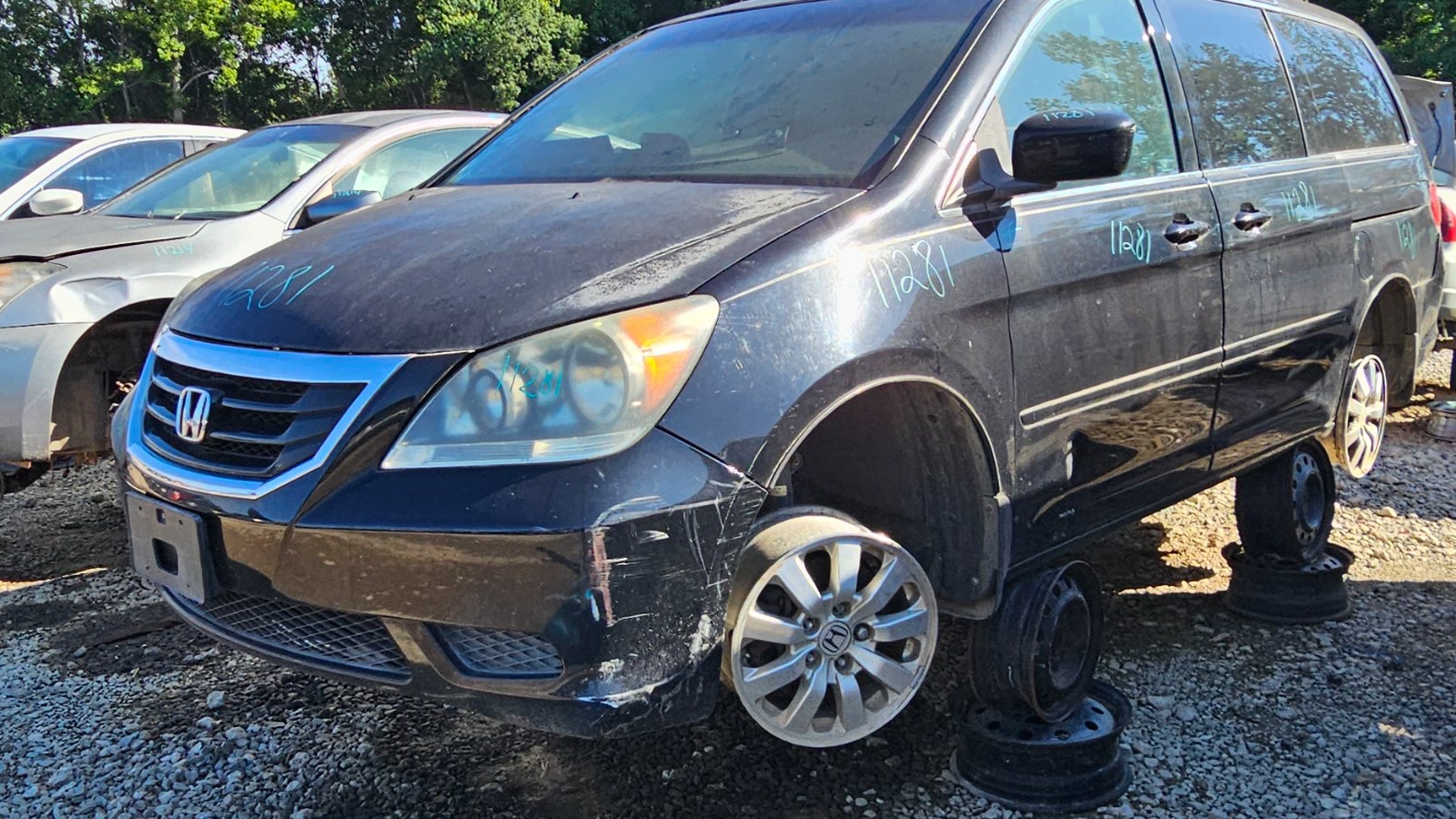 2010 HONDA Odyssey
