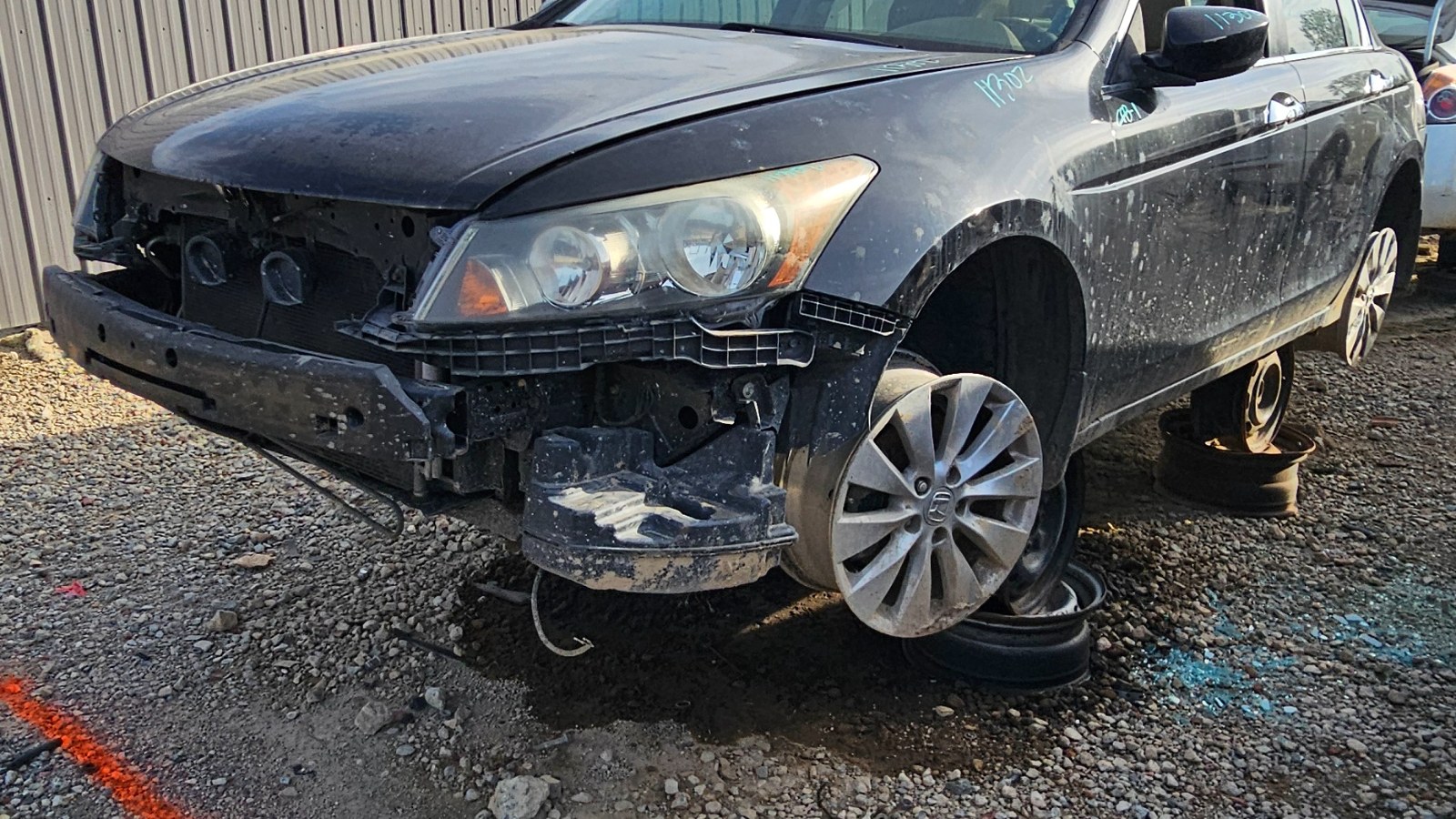 2010 HONDA Accord