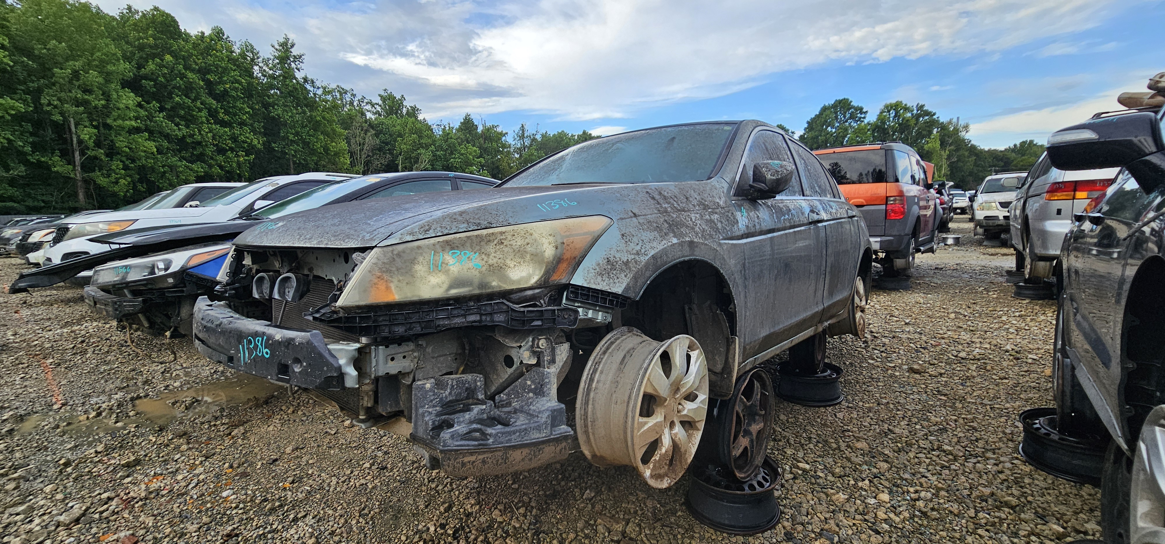 2008 HONDA Accord
