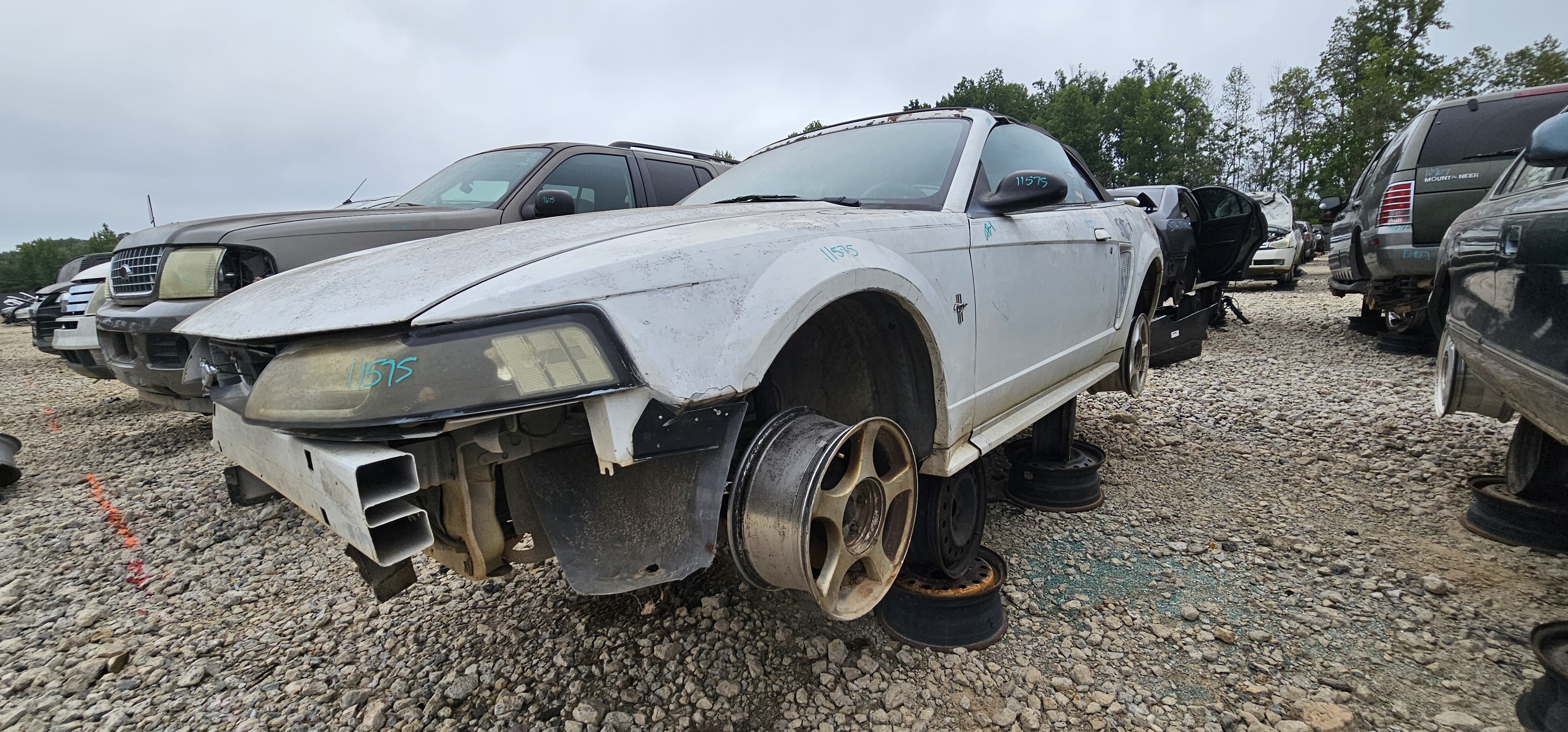 2002 FORD Mustang