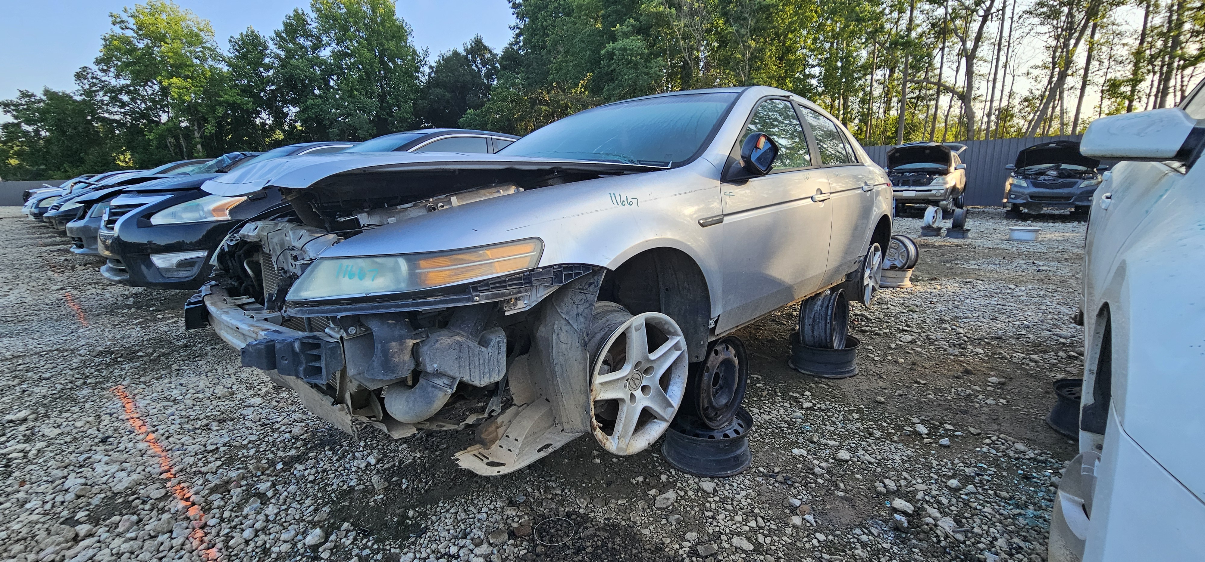 2006 ACURA Tl