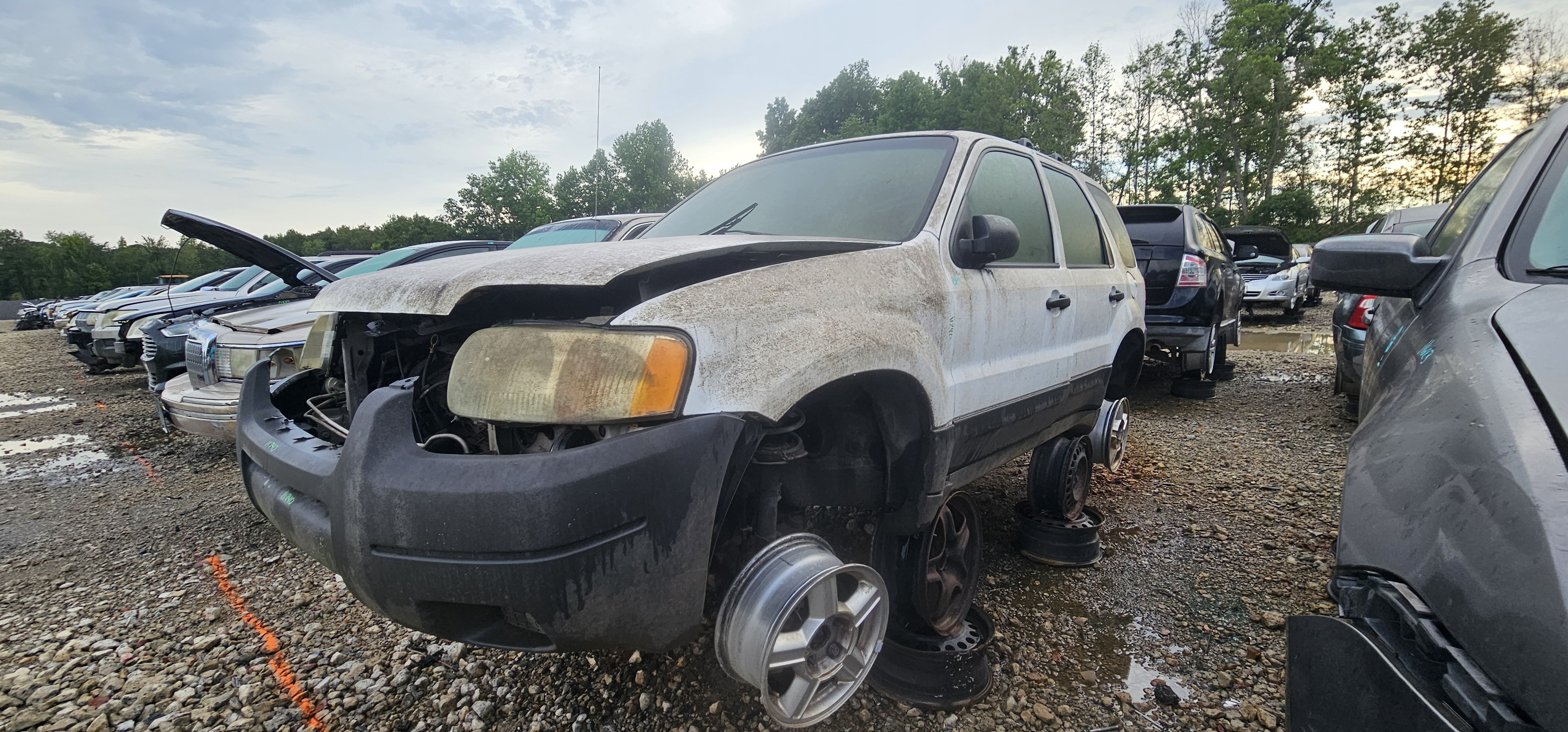 2004 FORD Escape