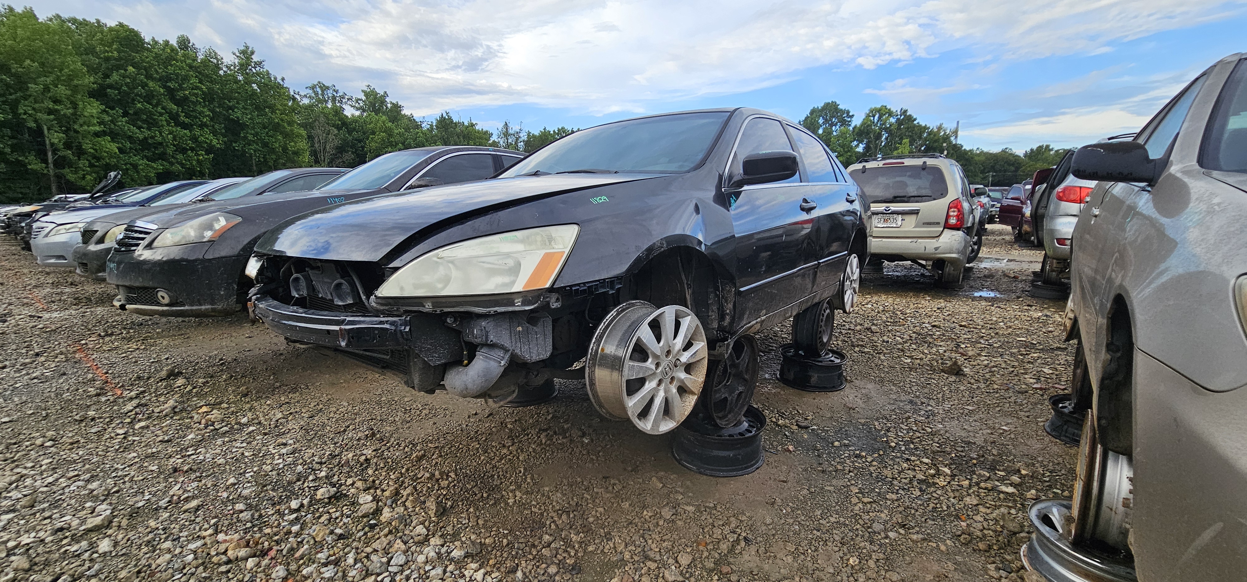 2006 HONDA Accord