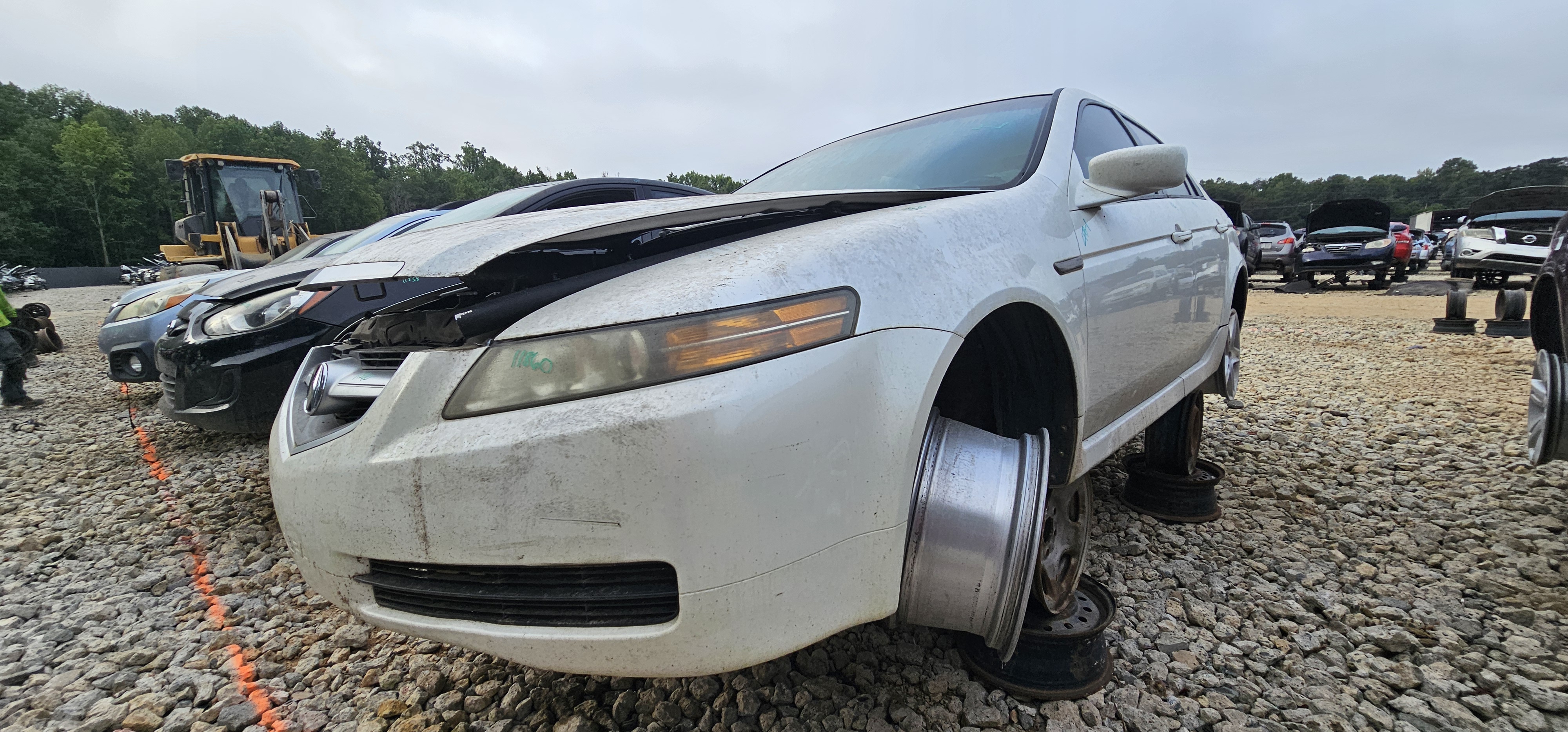 2006 ACURA Tl