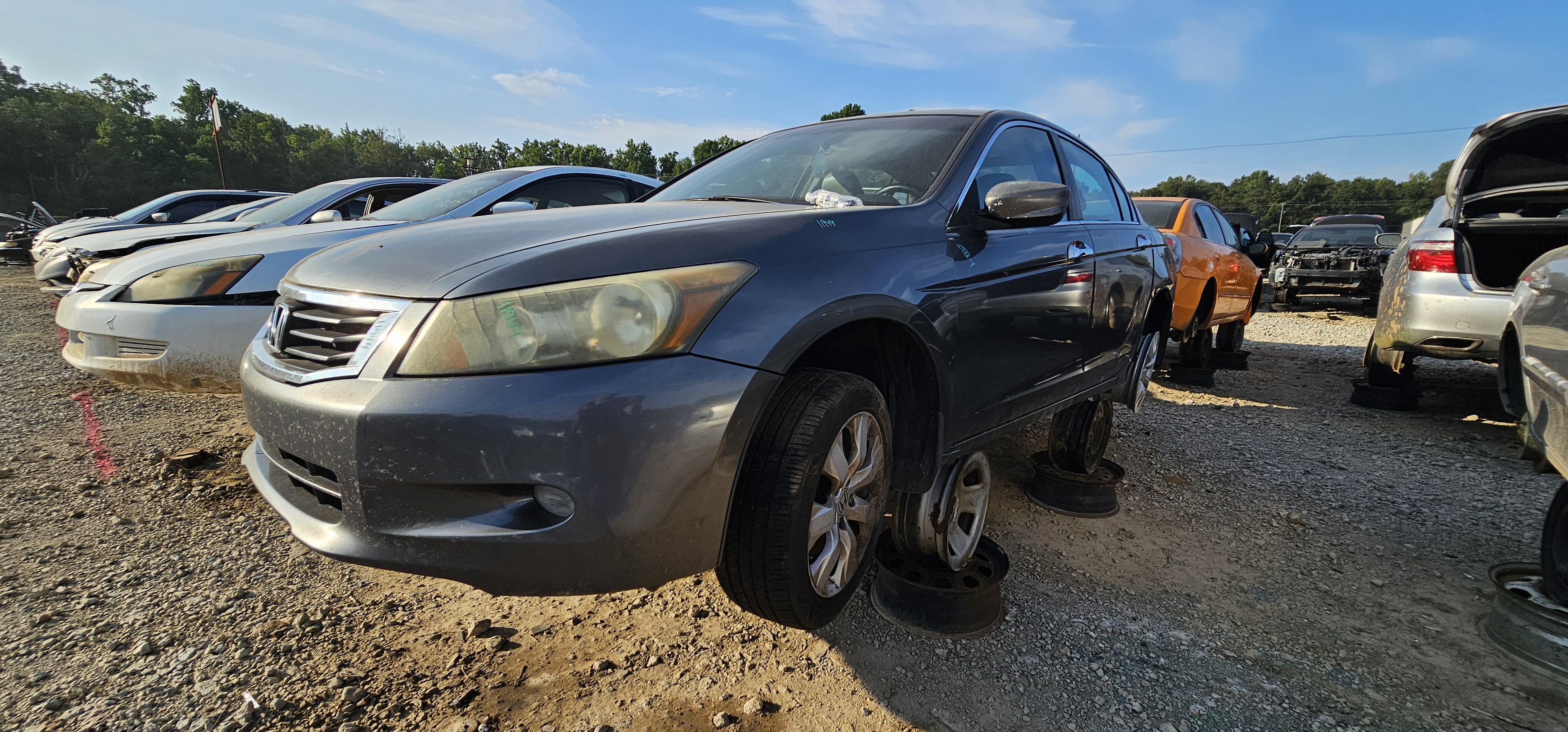 2008 HONDA Accord