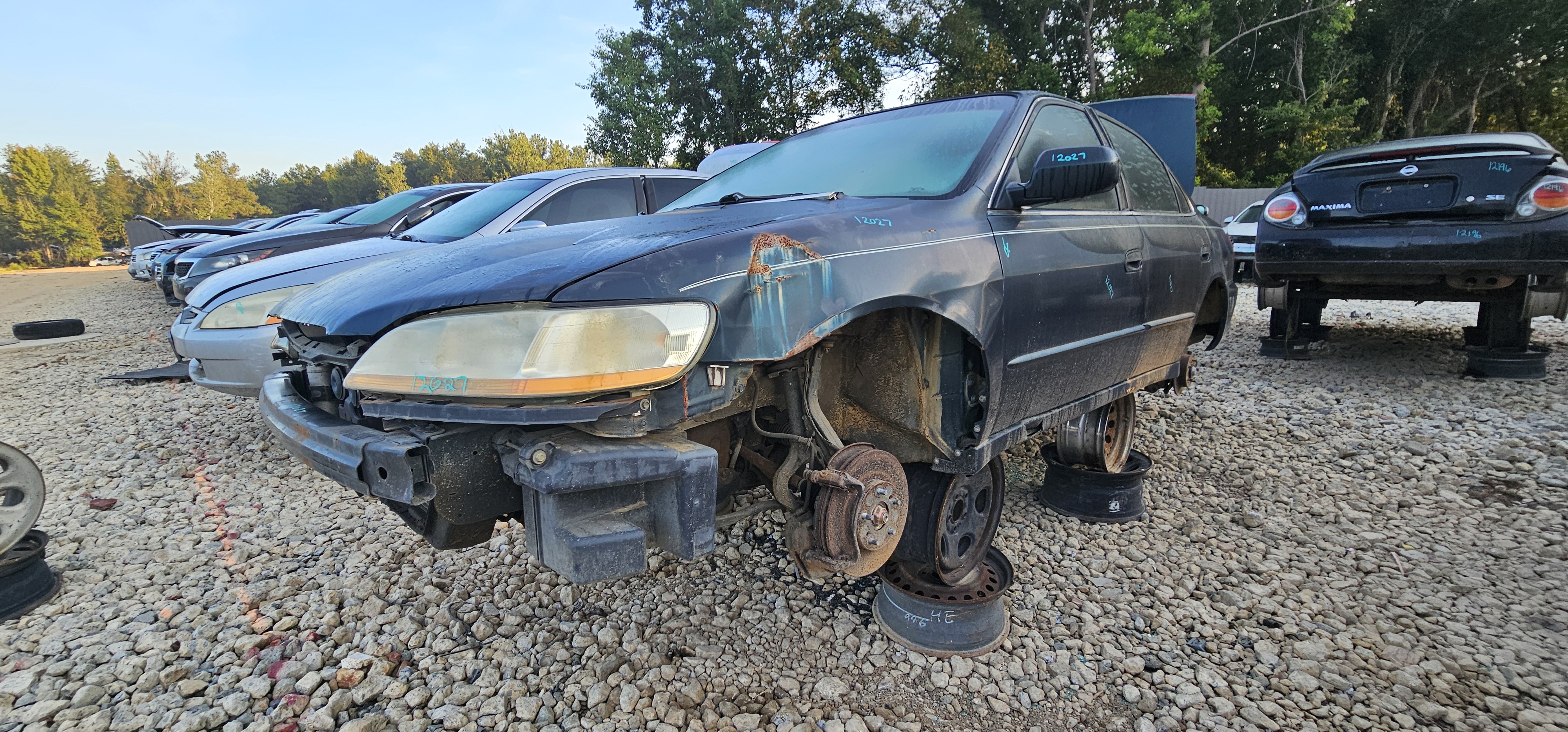 1999 HONDA Accord