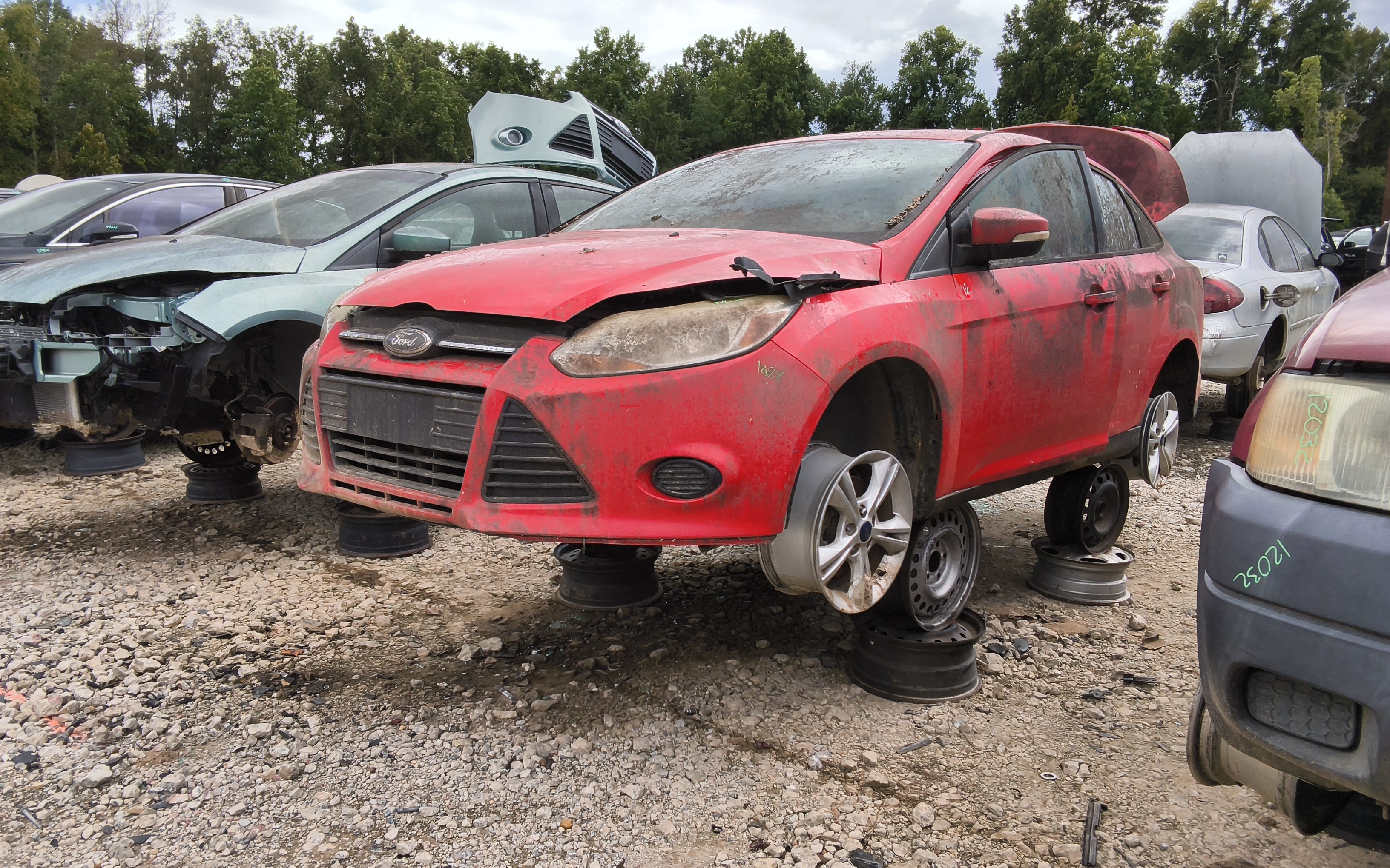 2014 FORD Focus