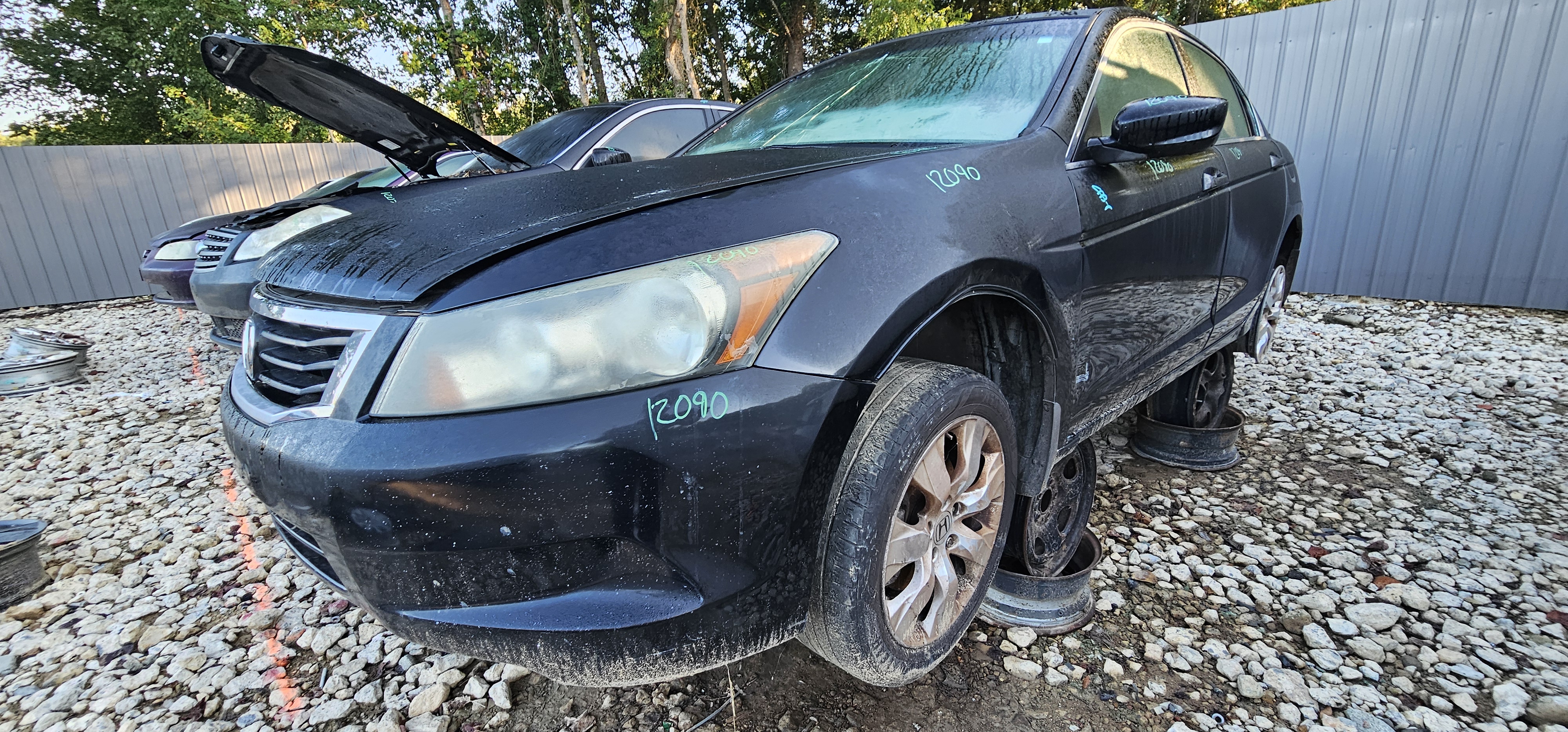 2009 HONDA Accord