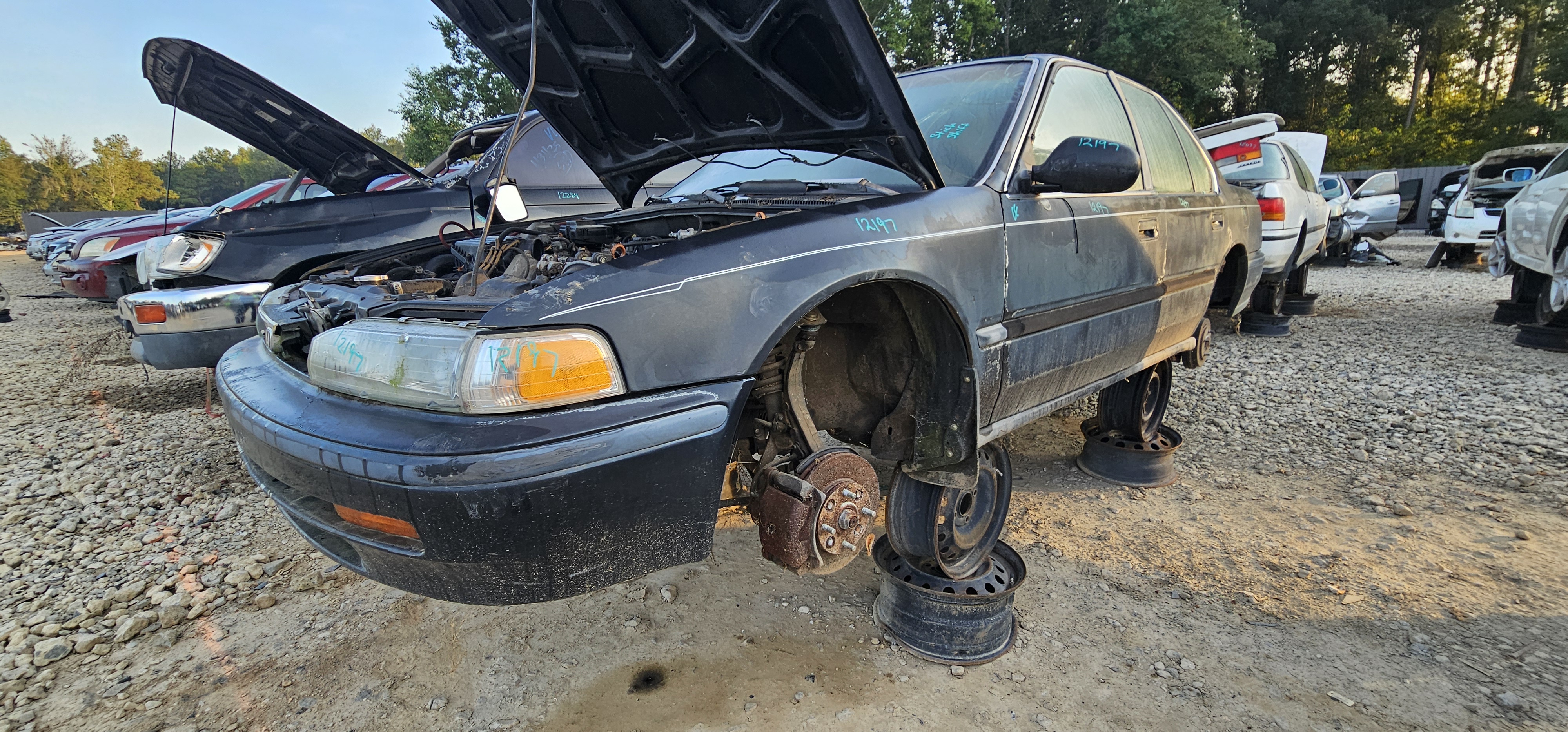 1993 HONDA Accord
