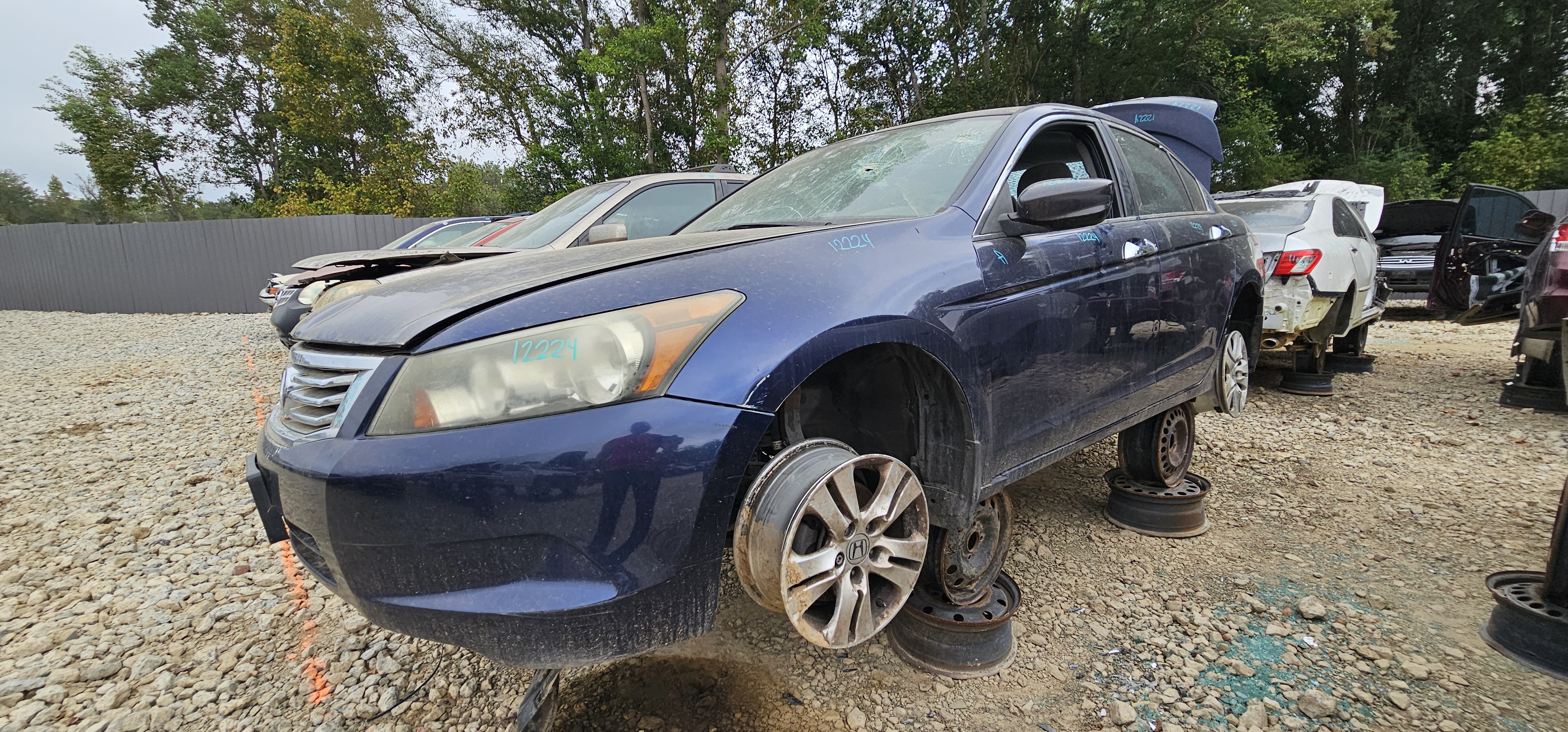 2010 HONDA Accord