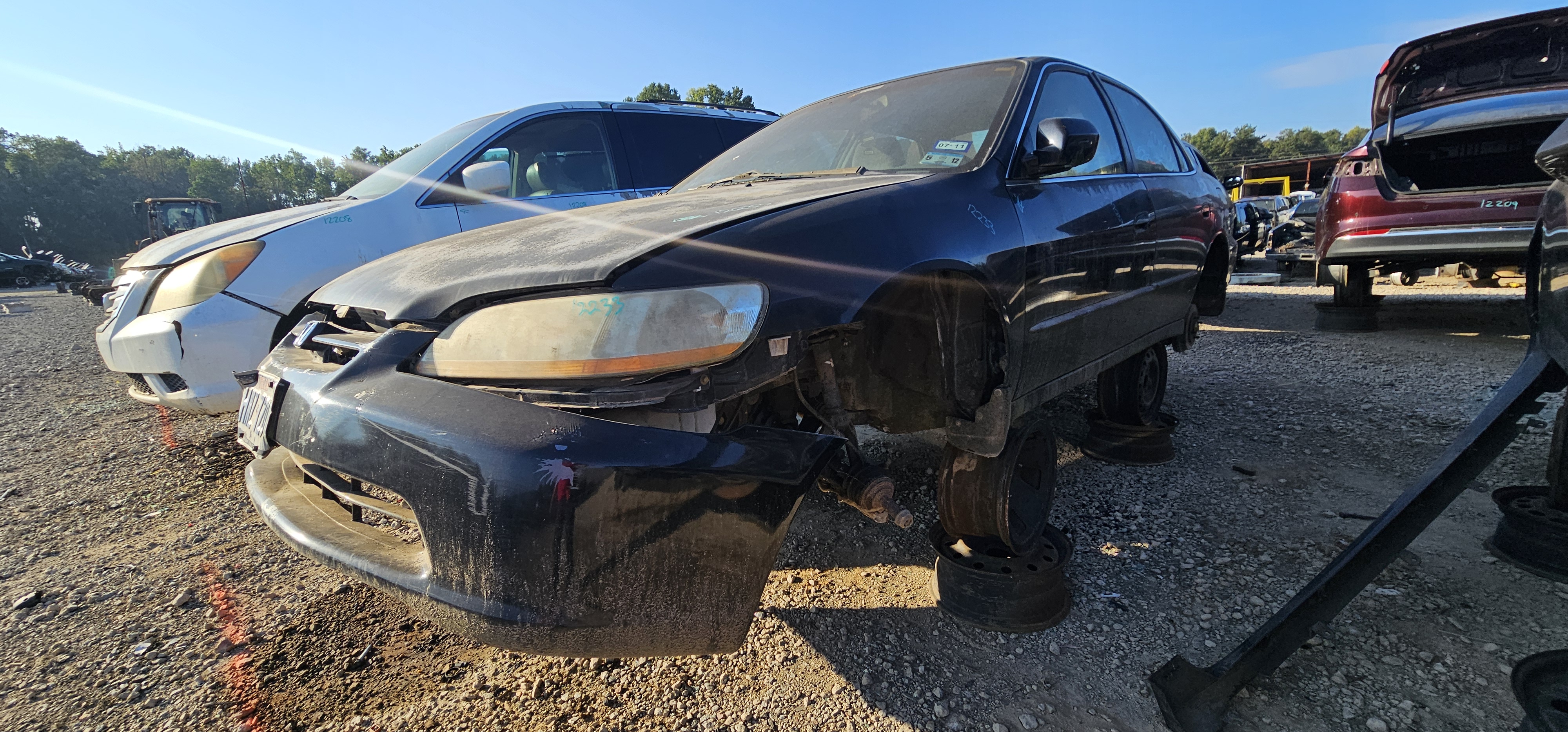1999 HONDA Accord