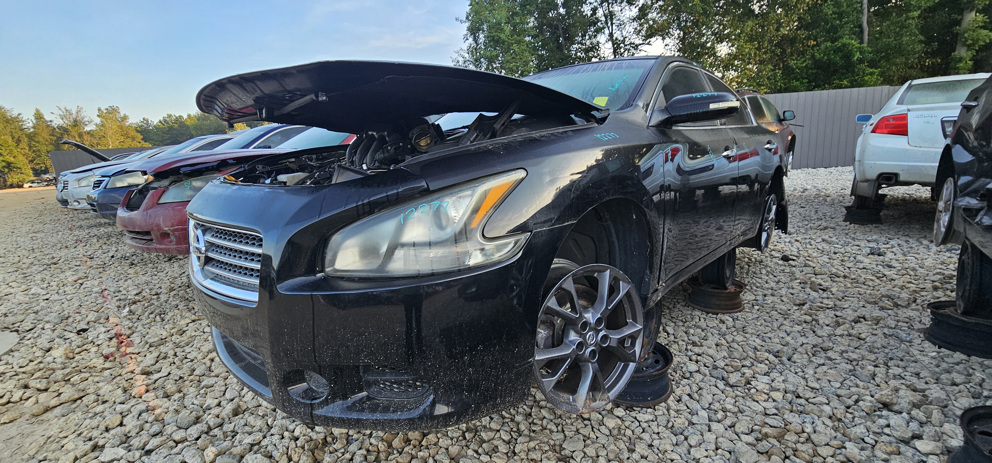 2014 NISSAN Maxima