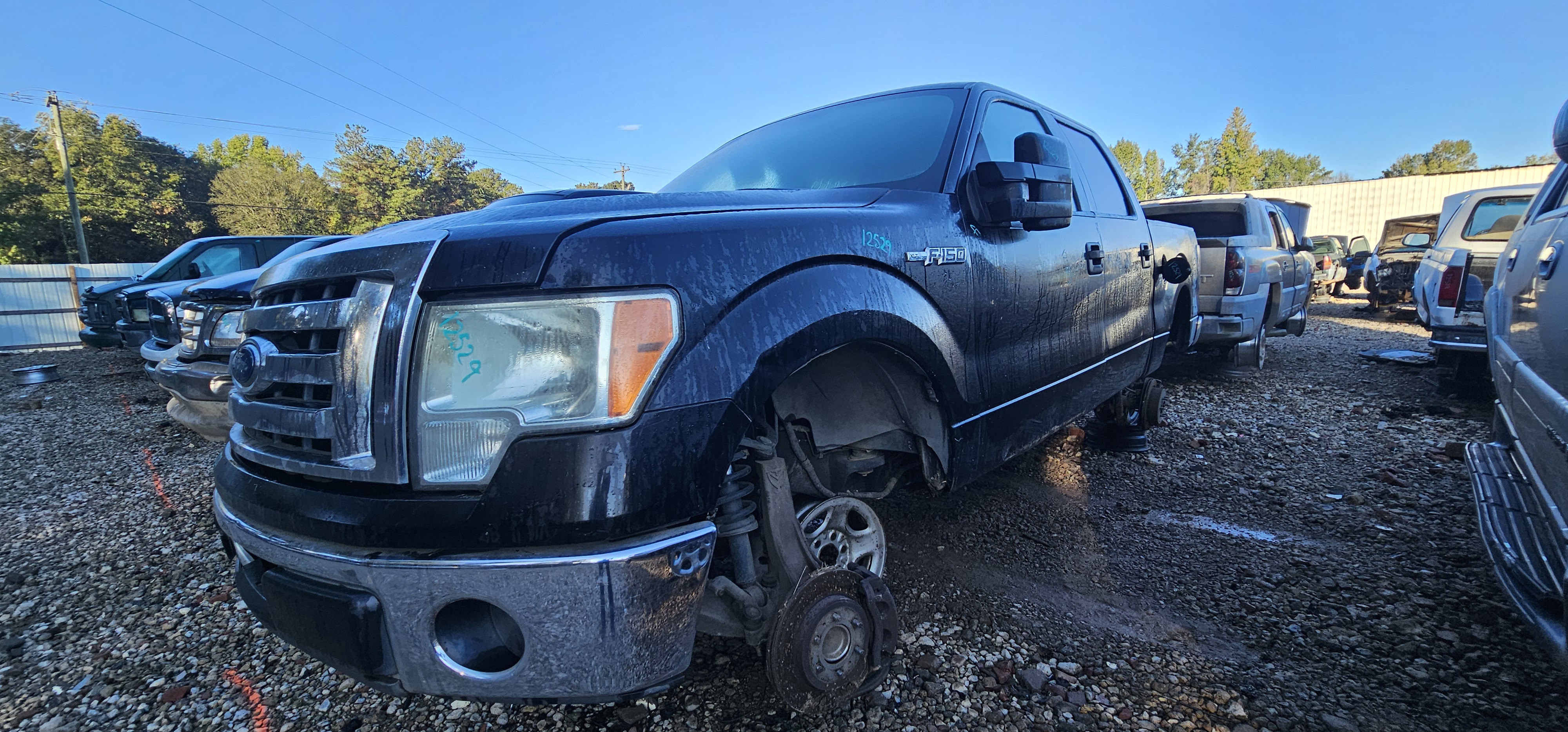 2009 FORD F-150