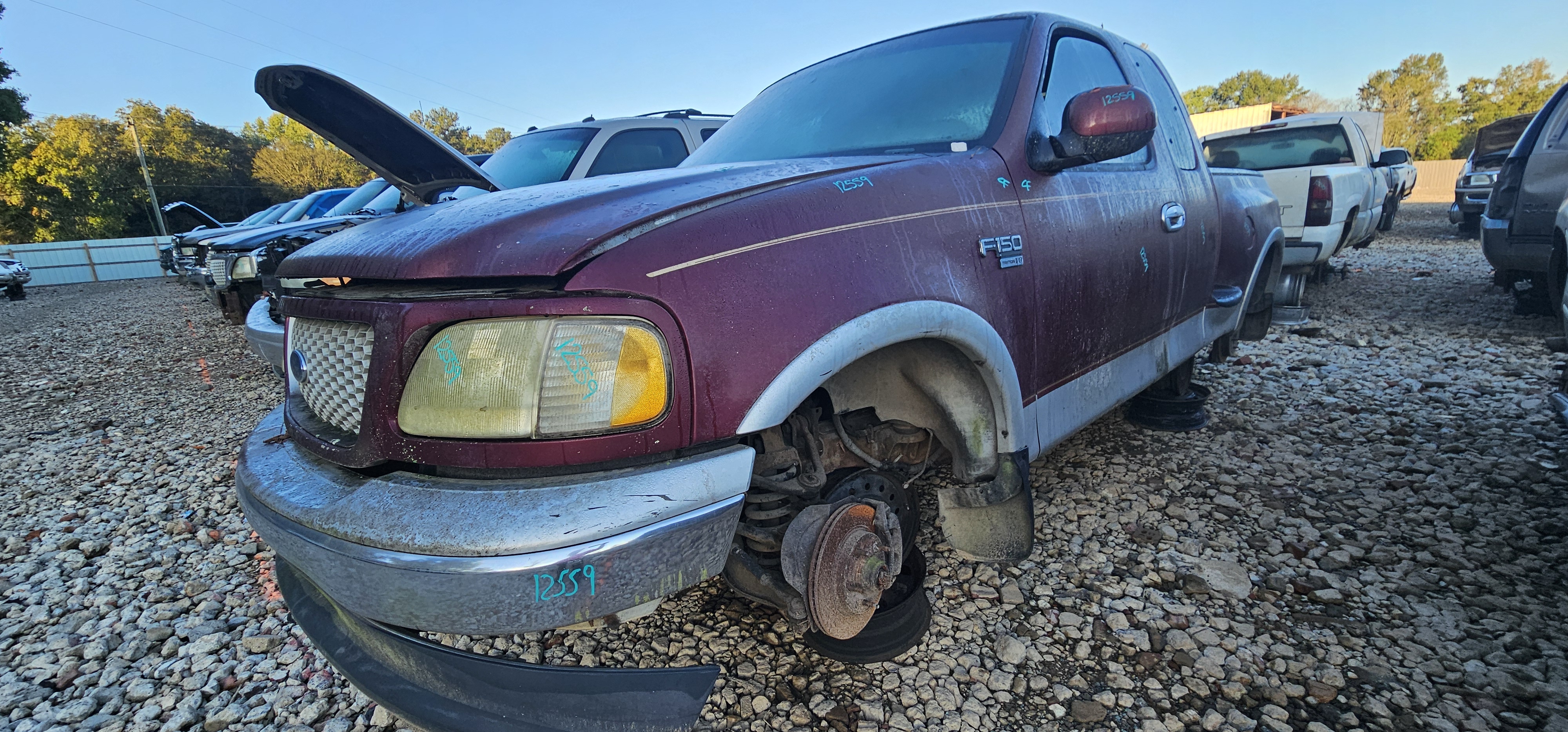 1999 FORD F-150